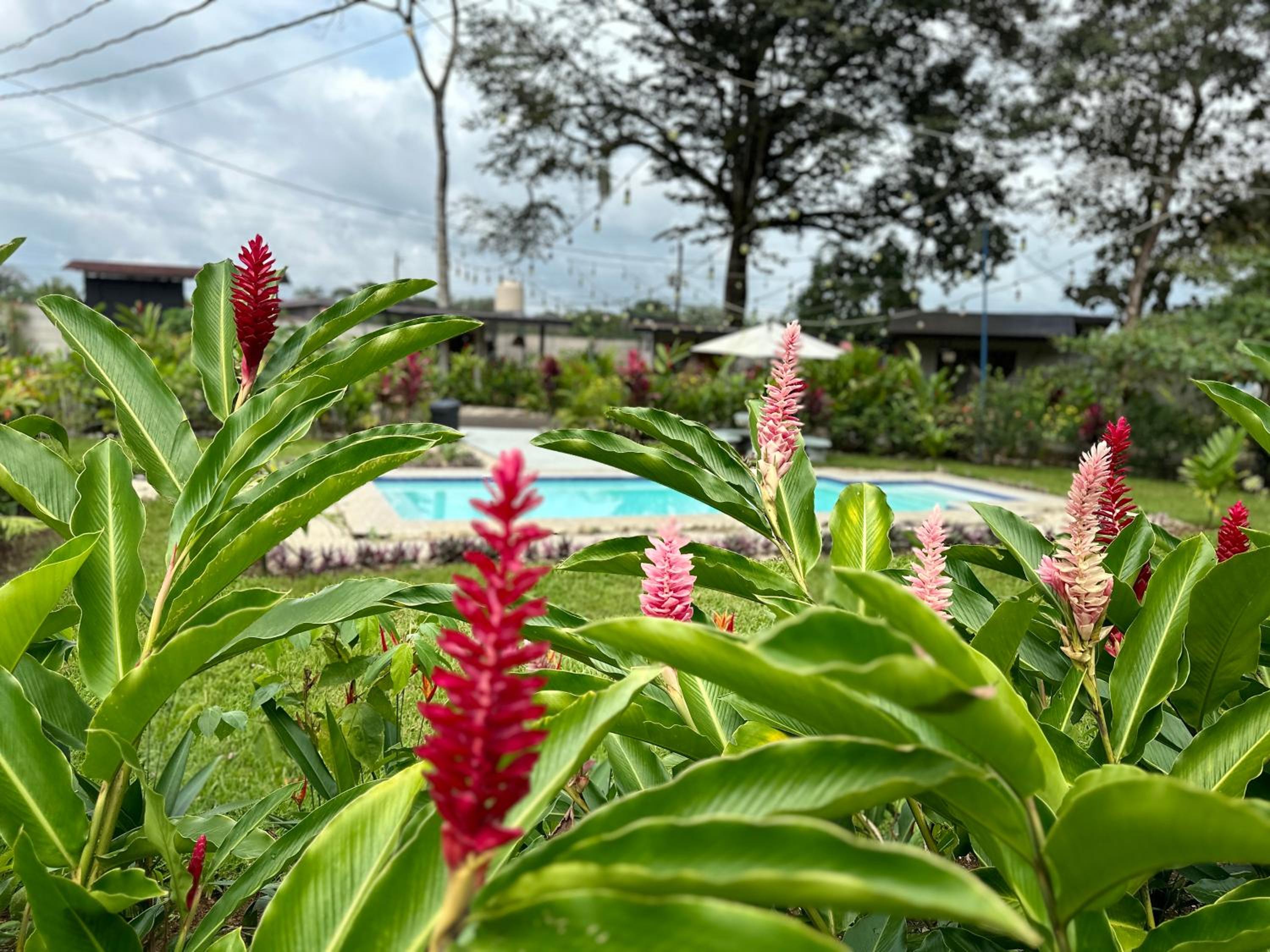 Almendros Eco-Villas