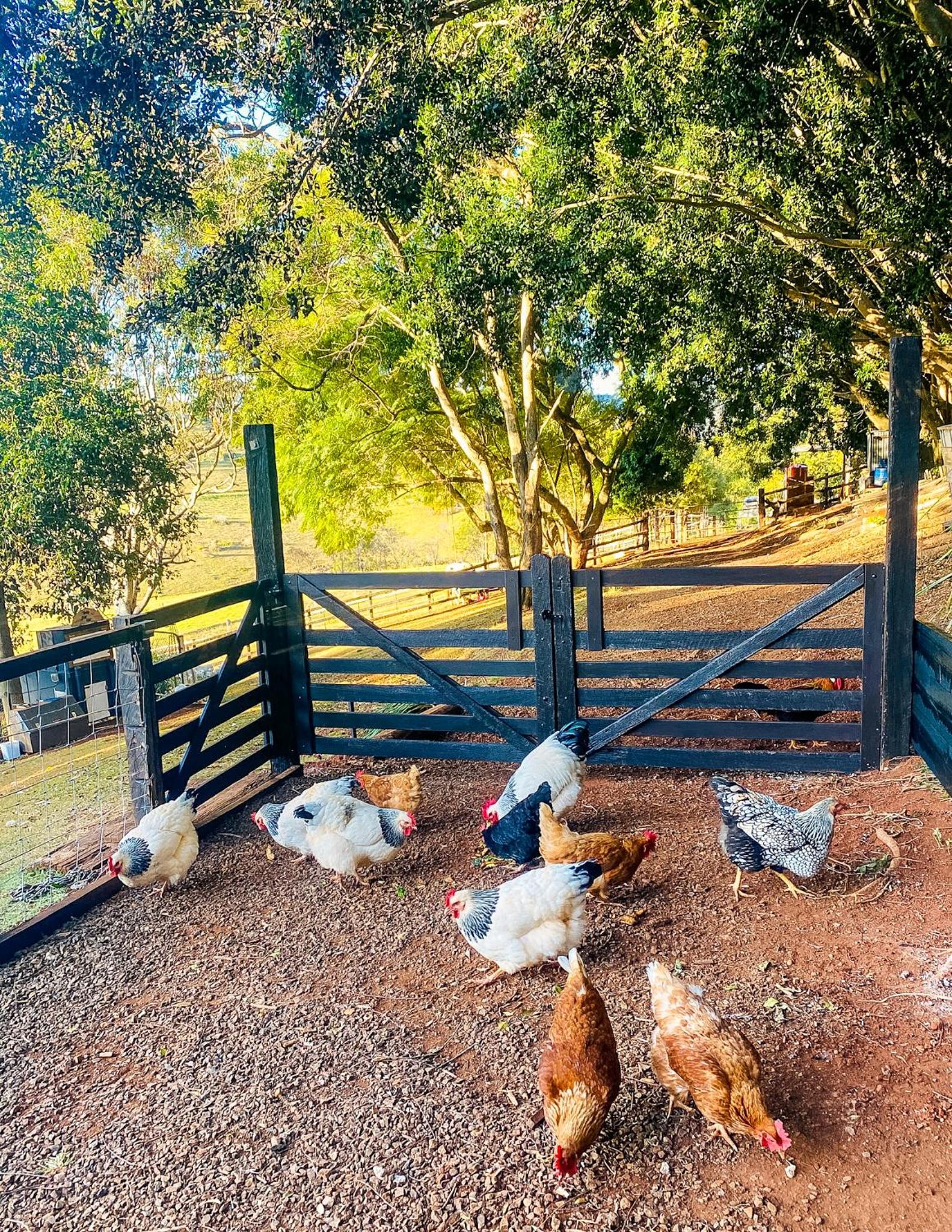 Doomben Ridge Farm House