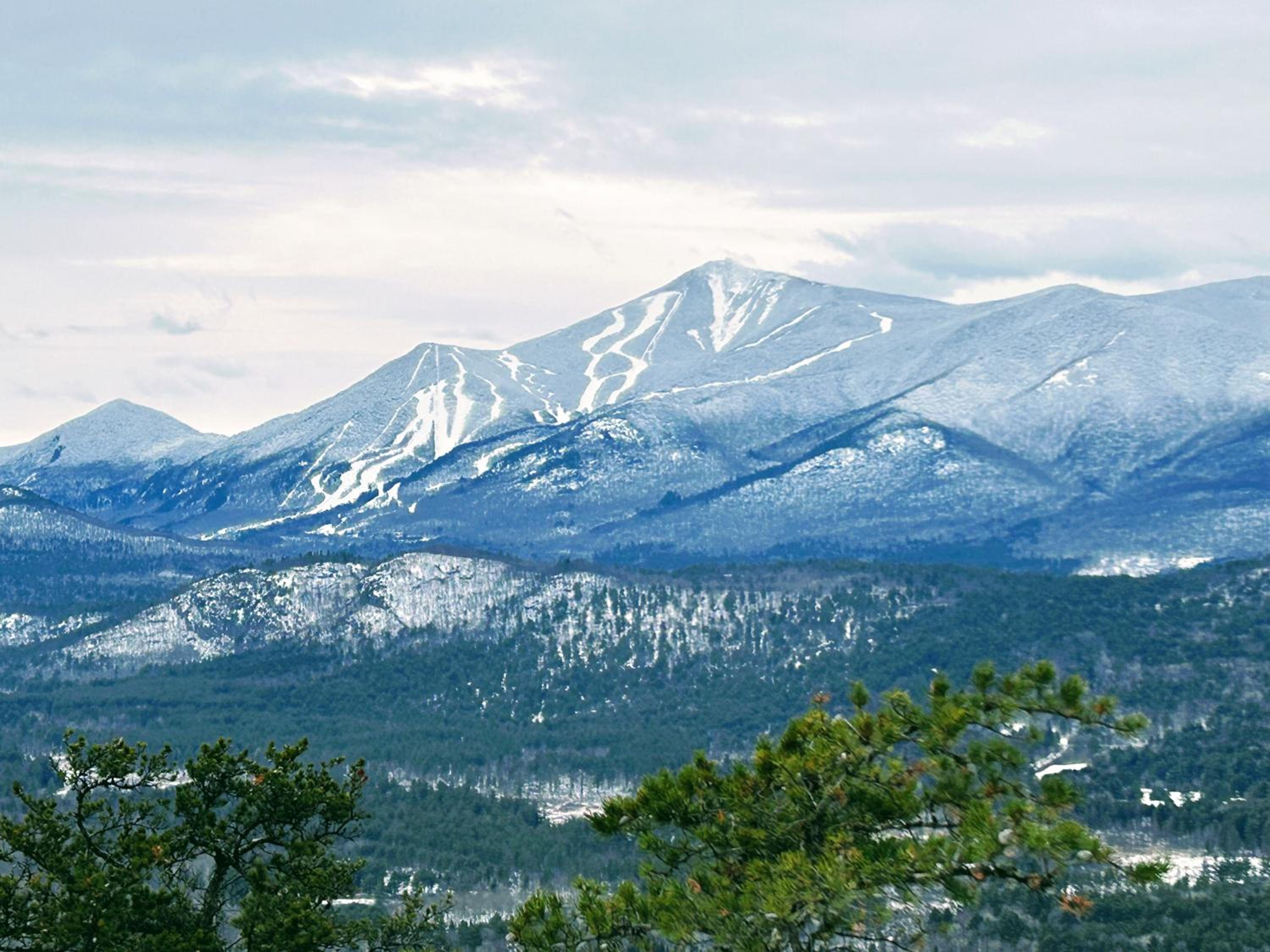 NewVida Preserve view 3