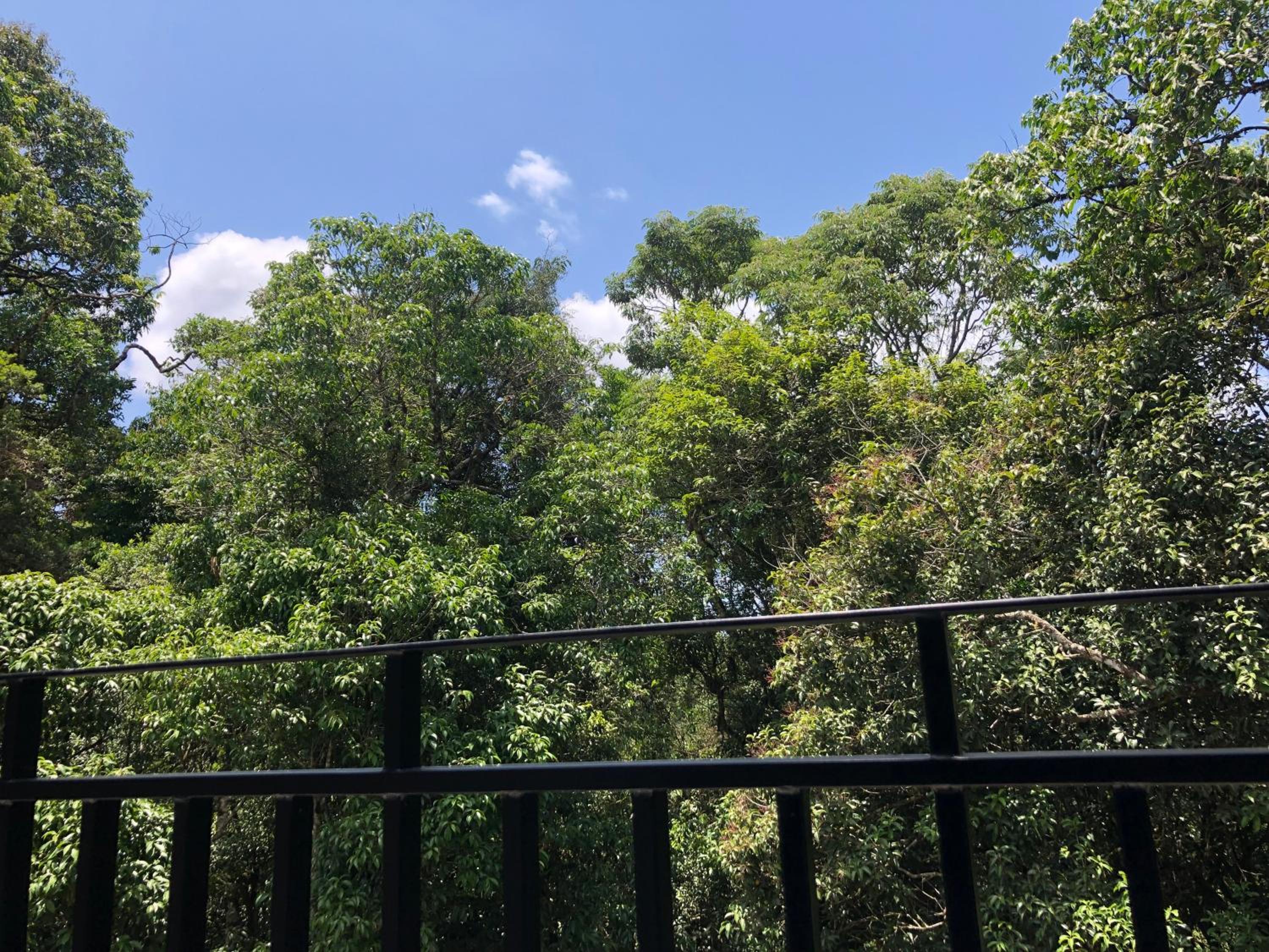 Loft Próximo ao Teleférico