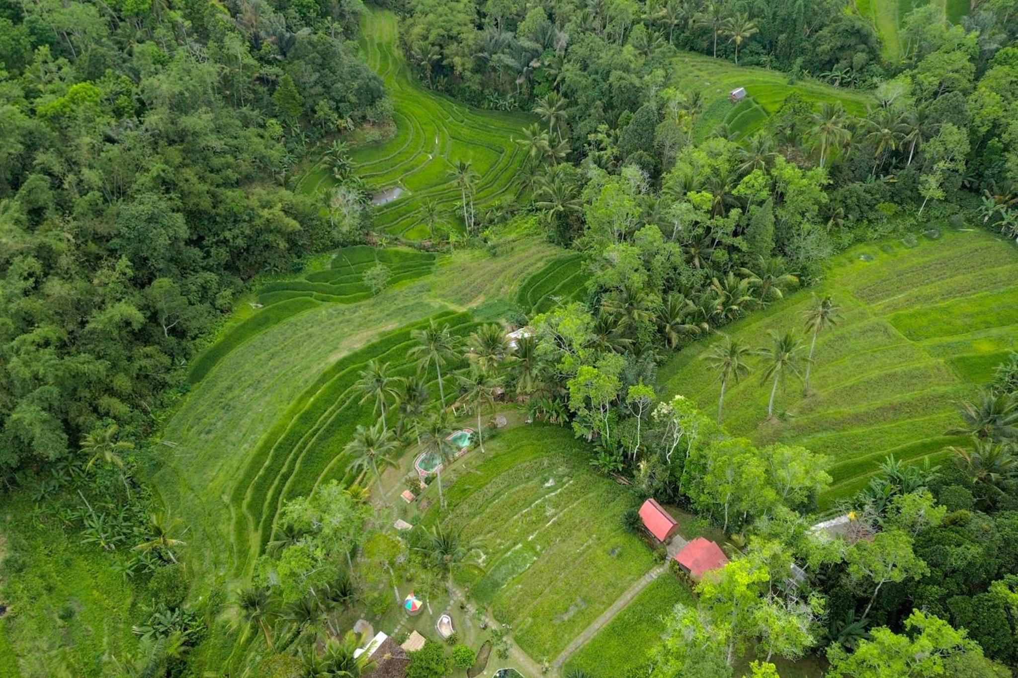 Pesona Bali Ecolodge by AGATA