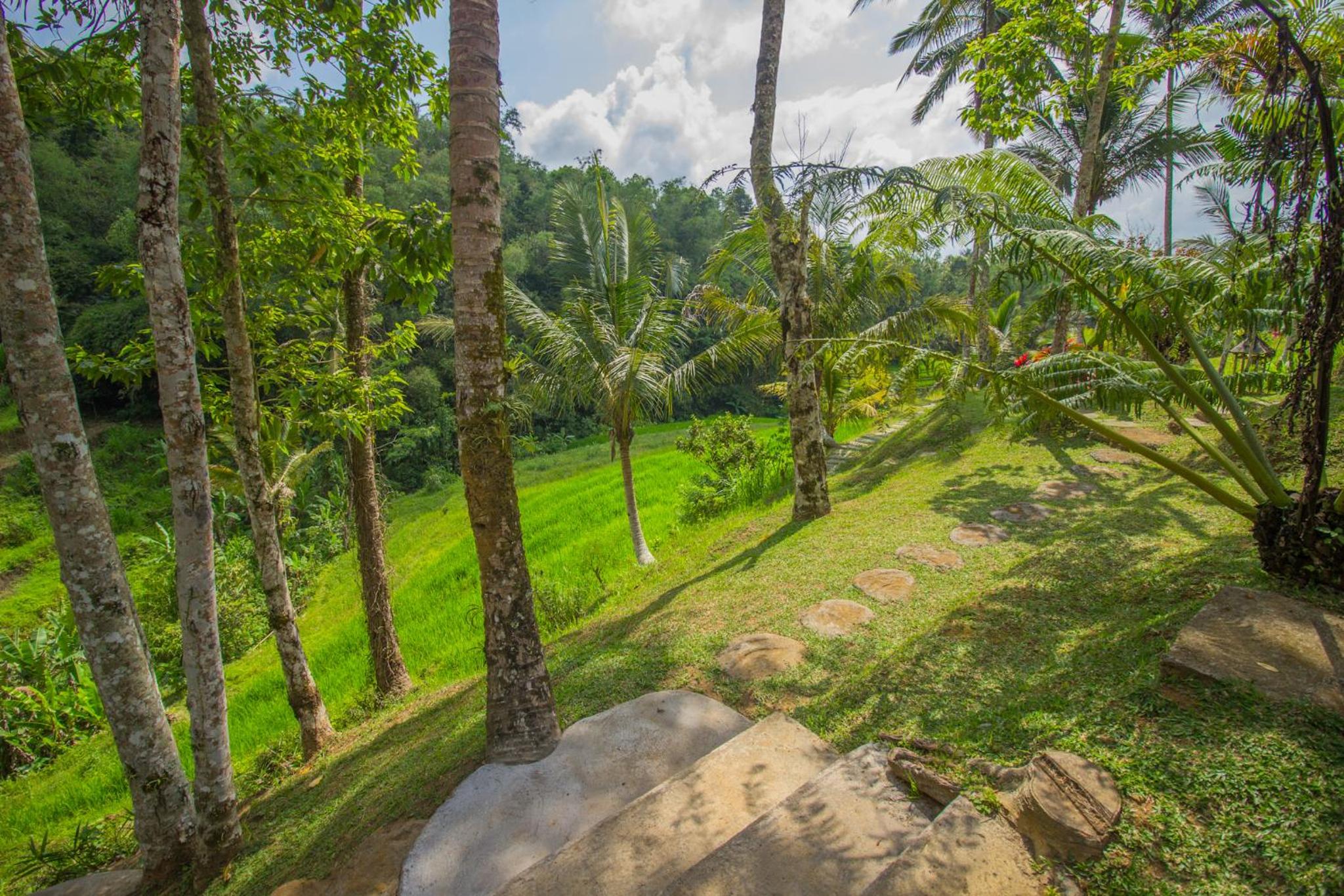 Pesona Bali Ecolodge by AGATA