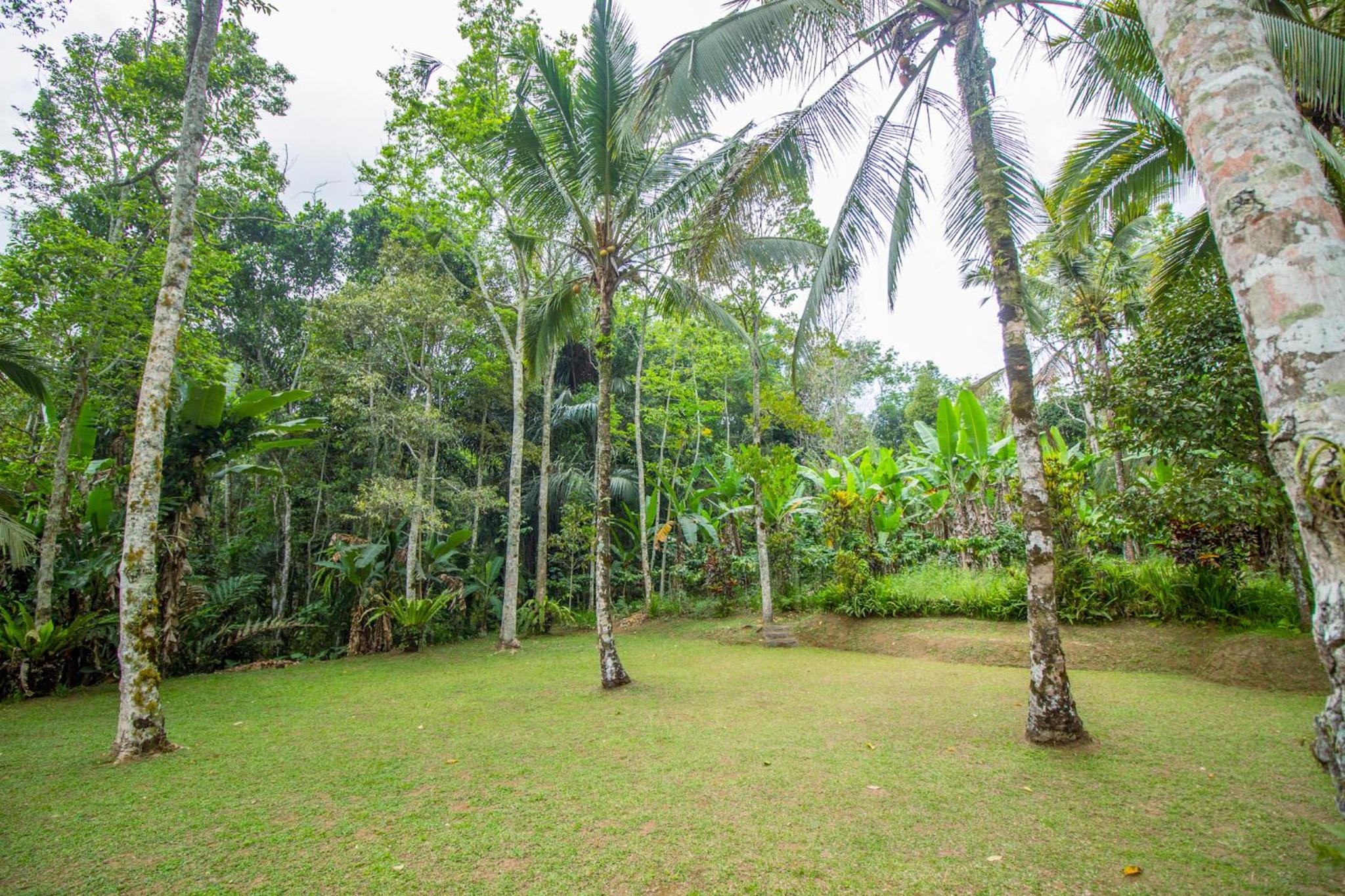 Pesona Bali Ecolodge by AGATA