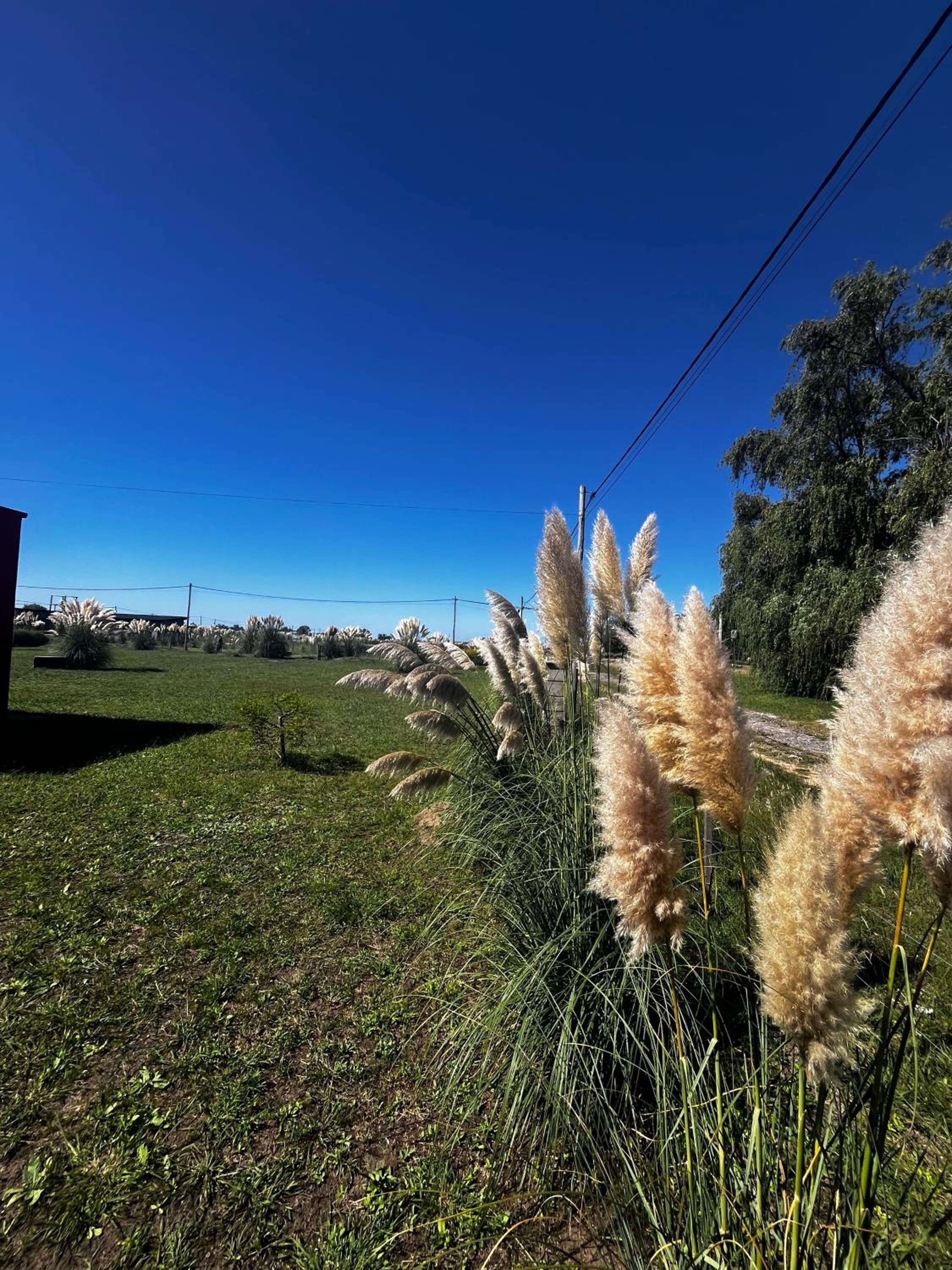 Pasos de la Naturaleza