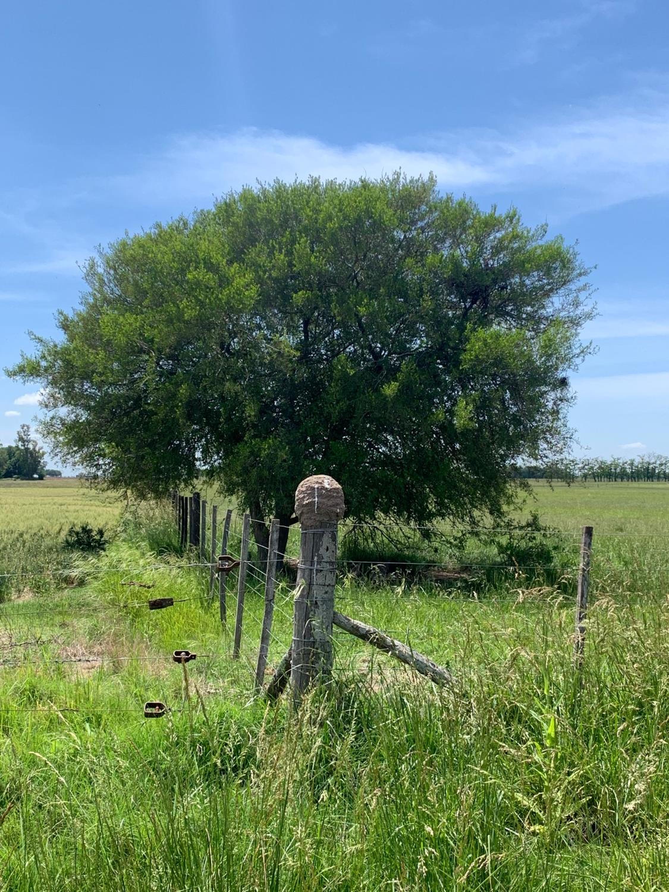 Pasos de la Naturaleza
