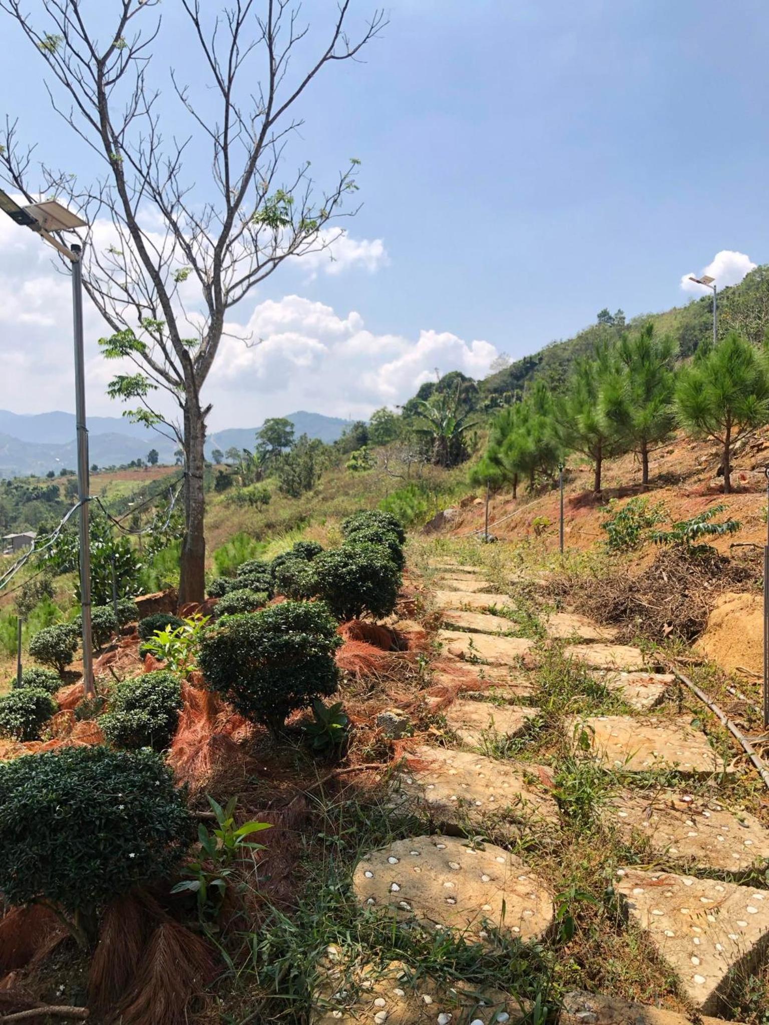 Đồi Hoa Đỏ Homestay