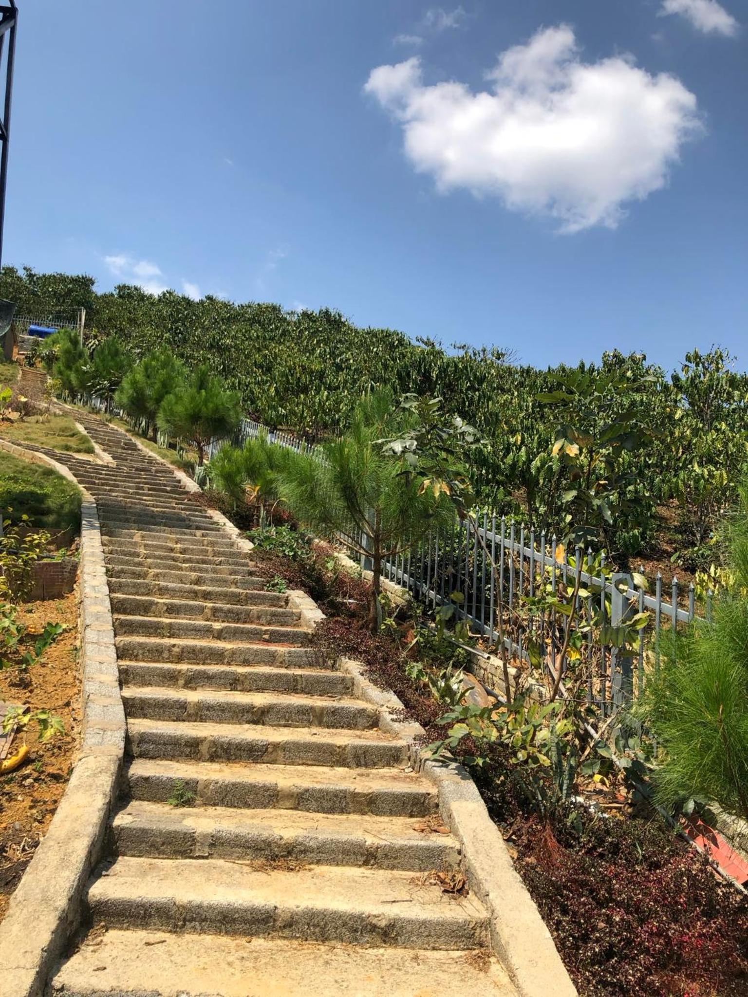 Đồi Hoa Đỏ Homestay