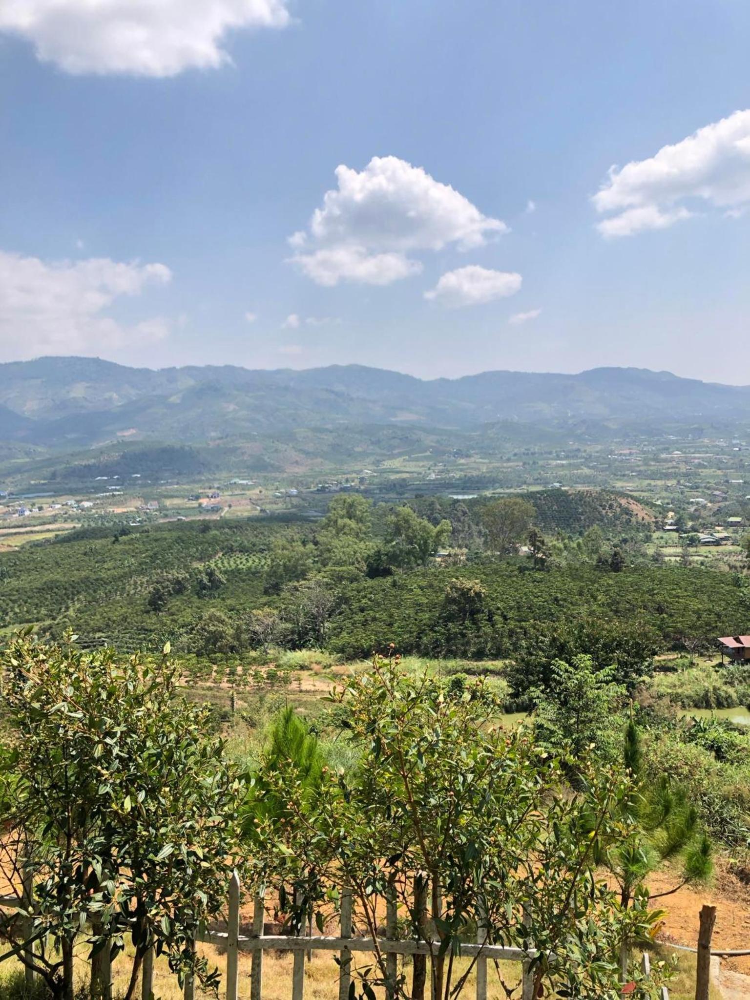 Đồi Hoa Đỏ Homestay