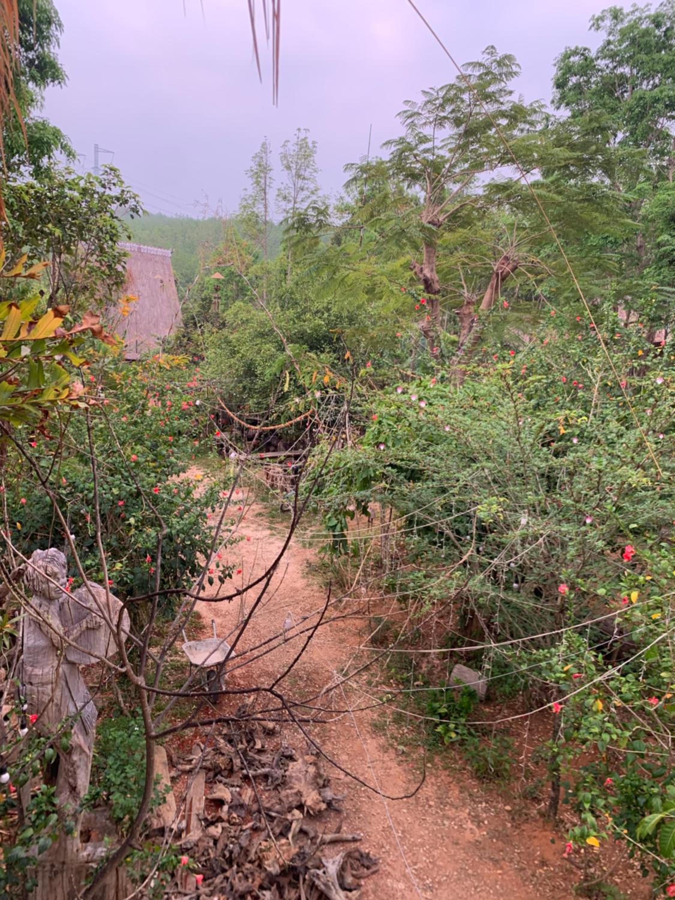 Photo 102