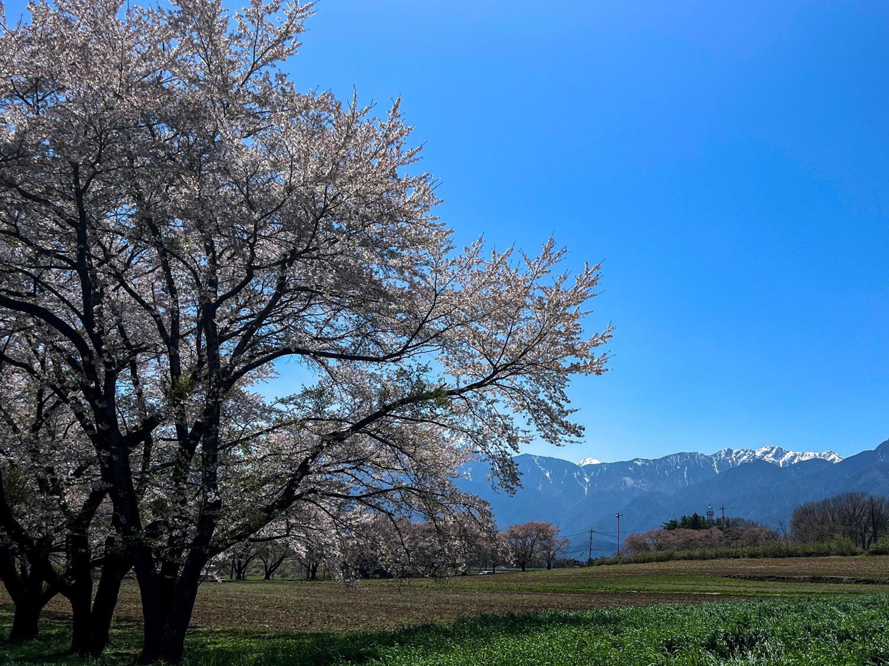 Rakuten STAY VILLA Yatsugatake