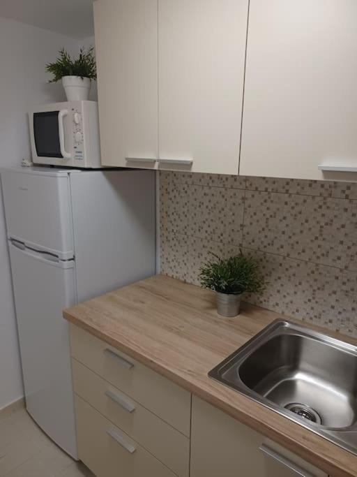 Spacious Family Garden Apartment view 2