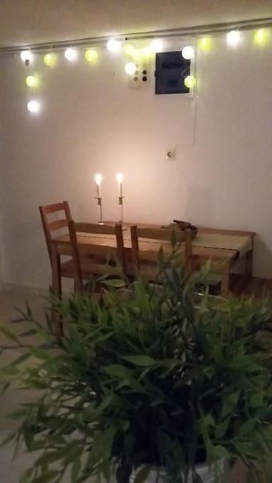 Spacious Family Garden Apartment view 3