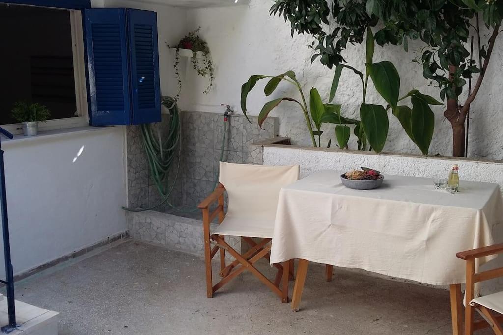 Spacious Family Garden Apartment view 4