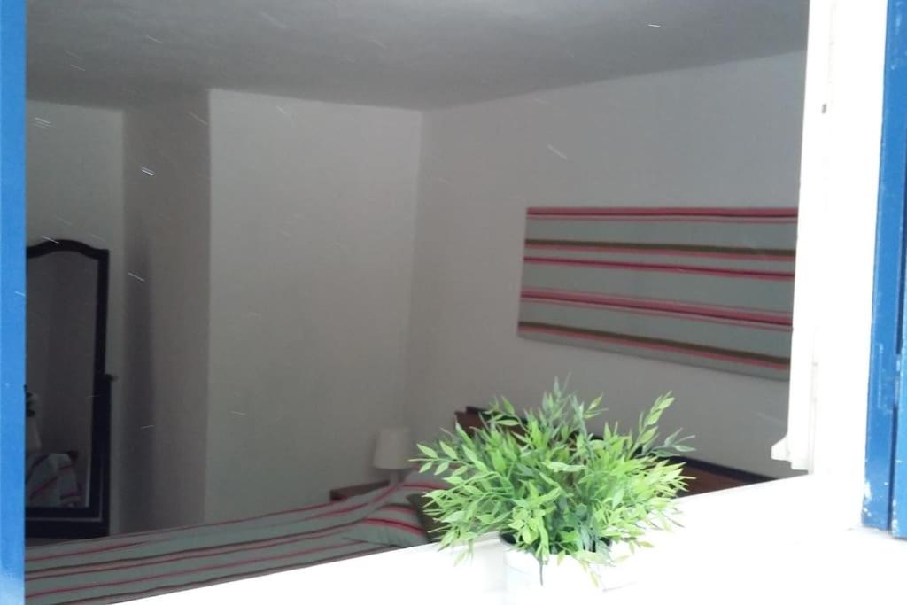 Spacious Family Garden Apartment view 5