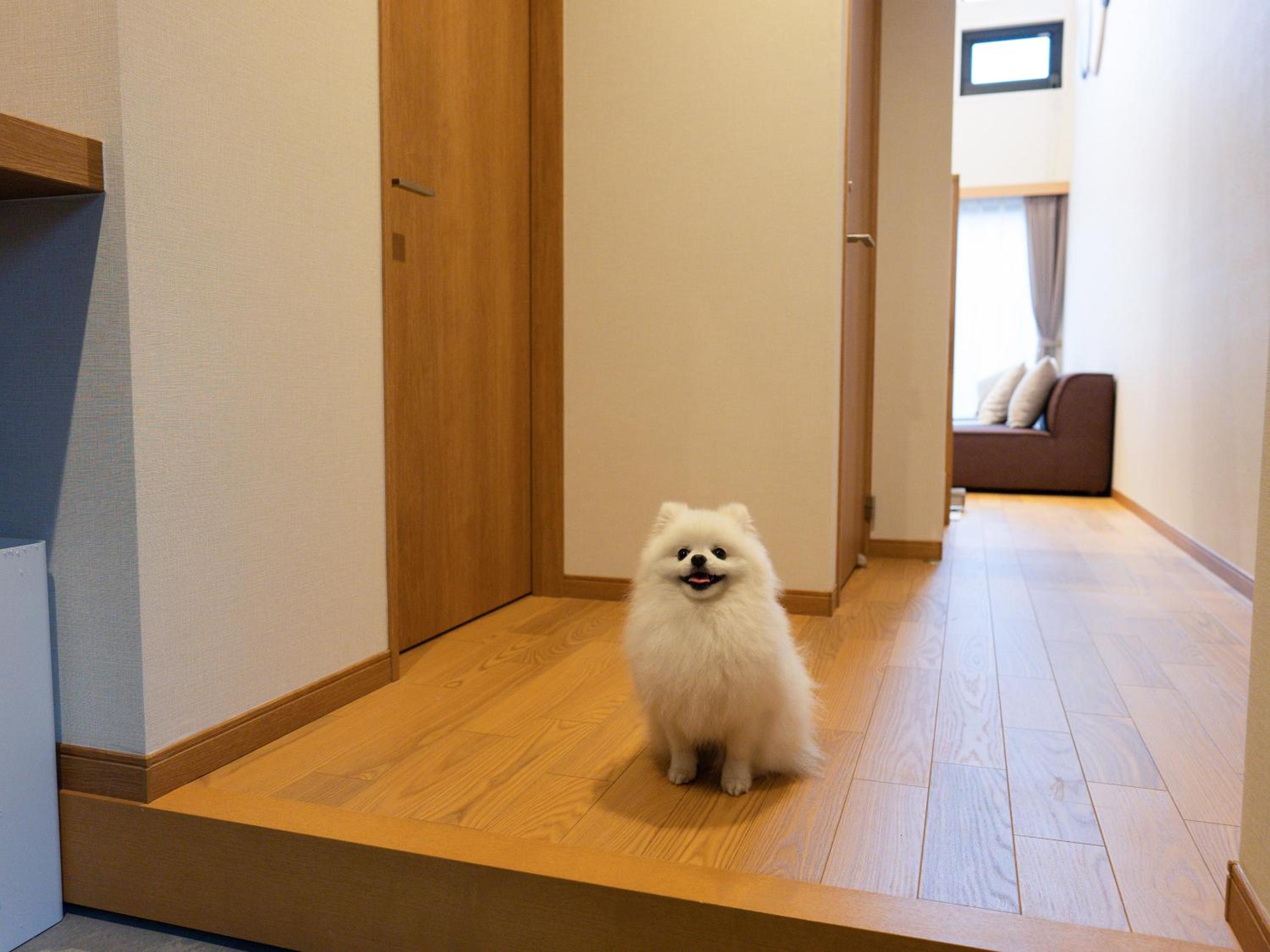 Rakuten STAY VILLA Yatsugatake