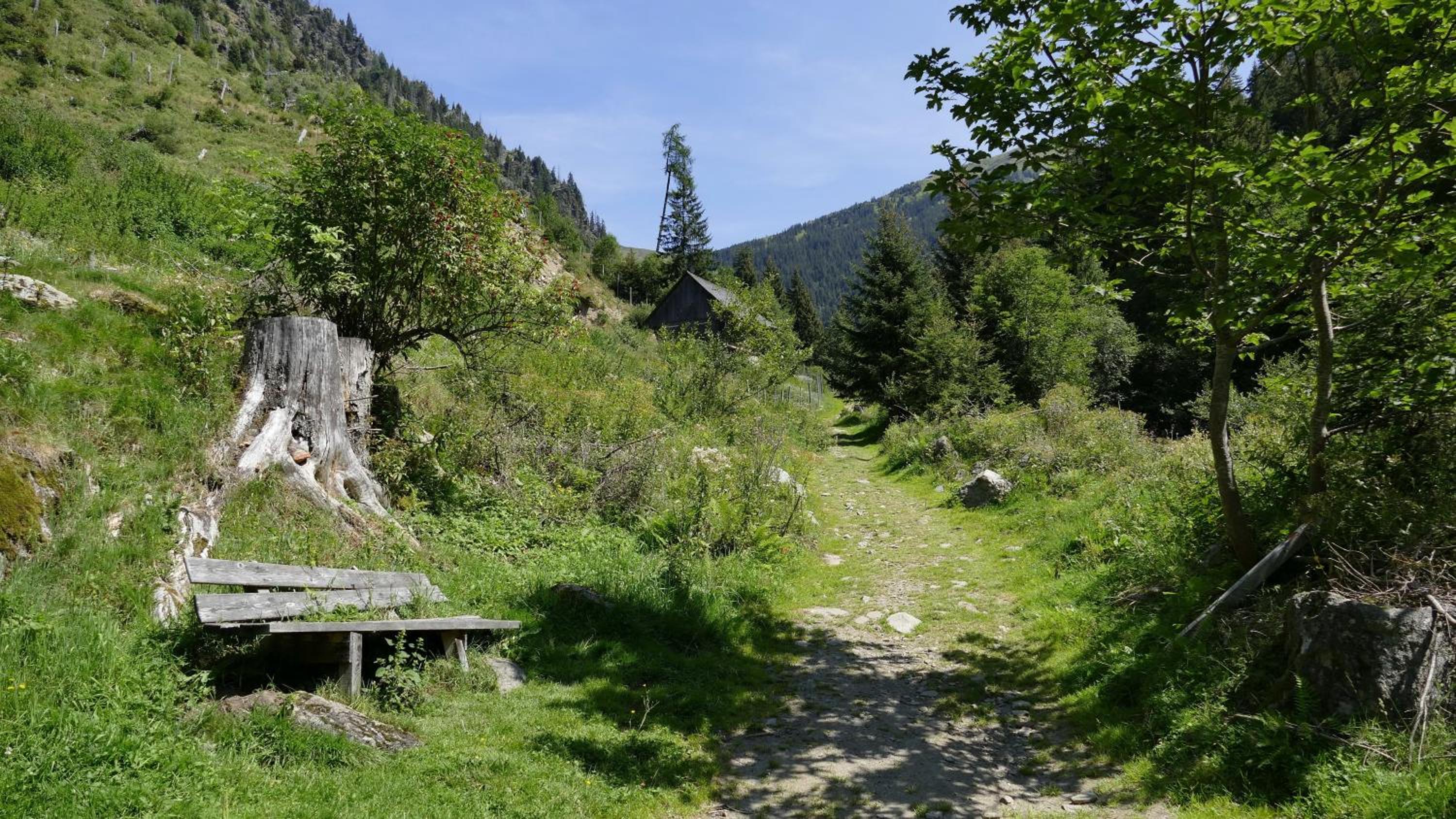 Gasthof zur Gams