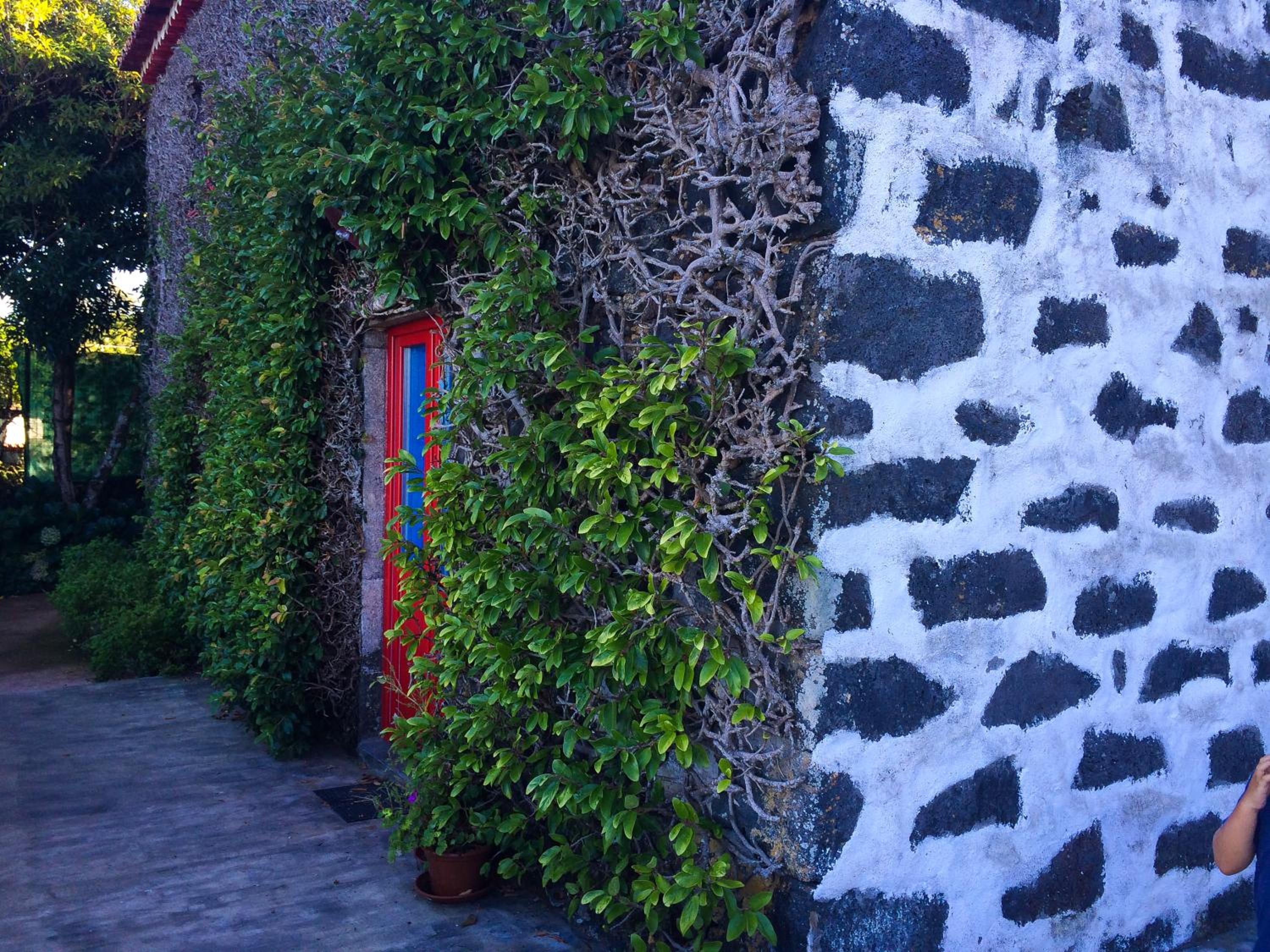 Photo 47