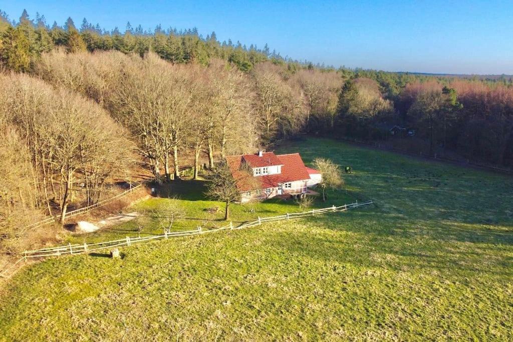 Urlaub mit Hund im Ferienhaus am Wingster Wald