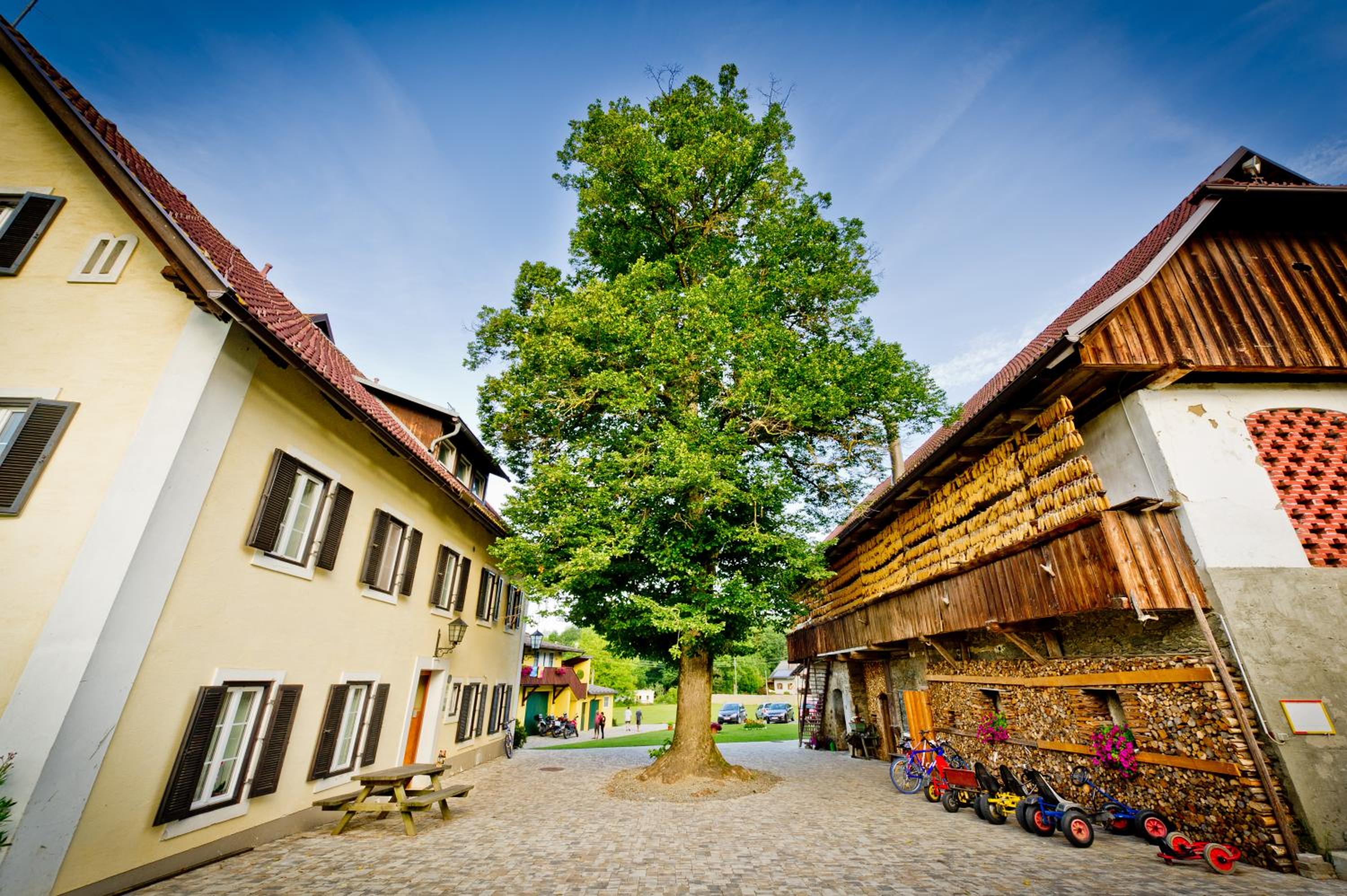 Bauernhof Liendl