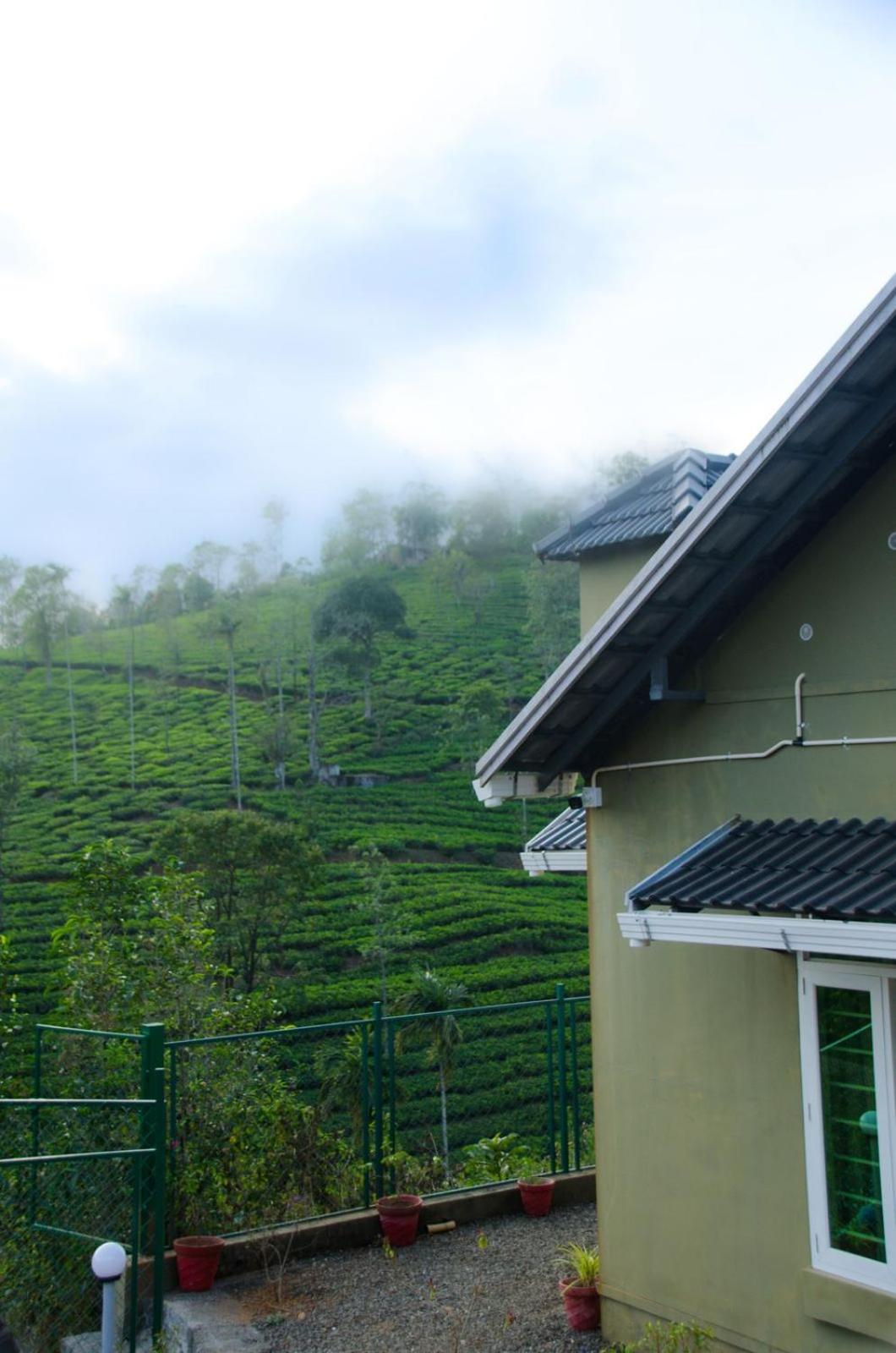 Greenlush 2 view 5