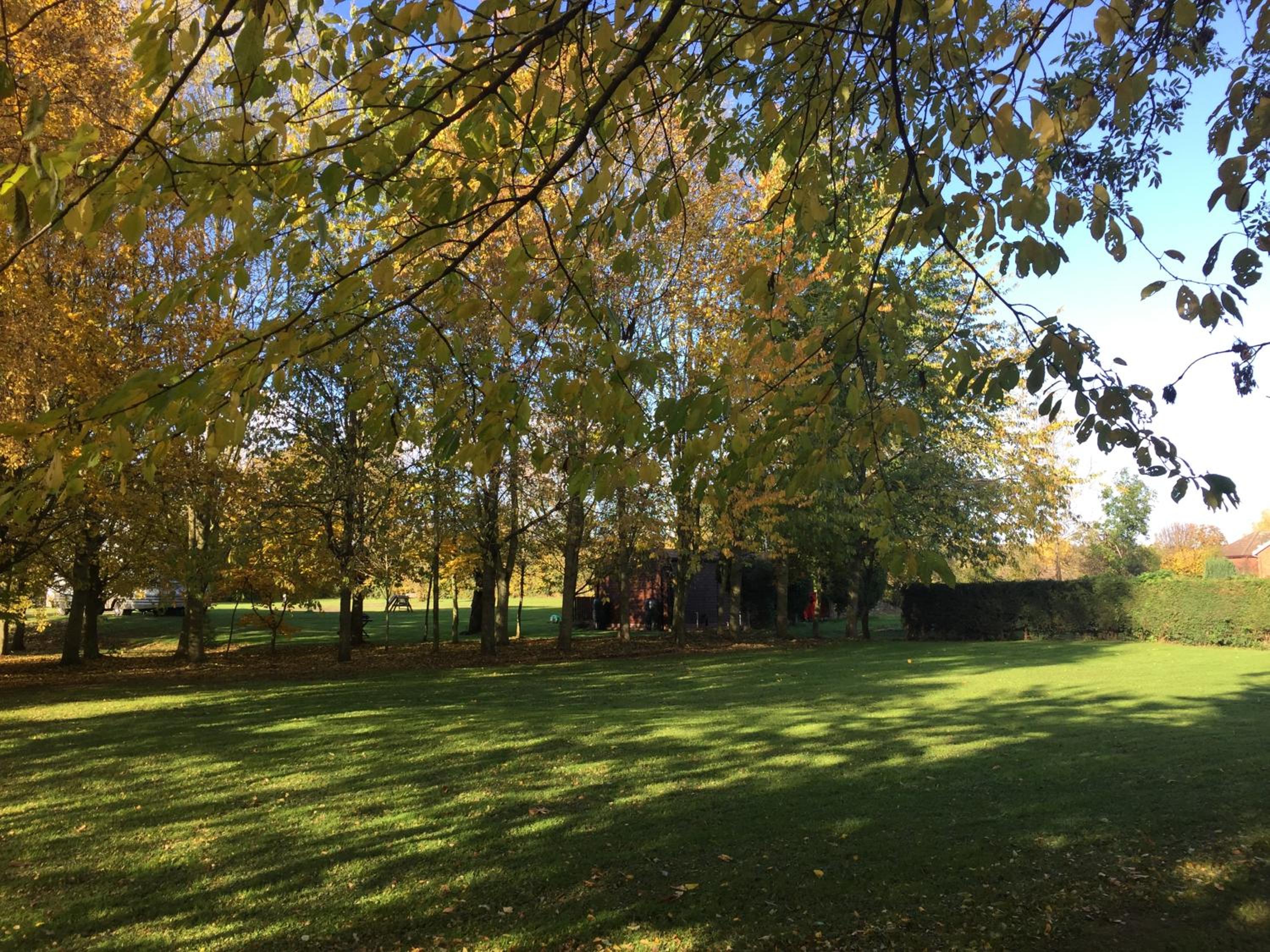 Holly's Lodge
