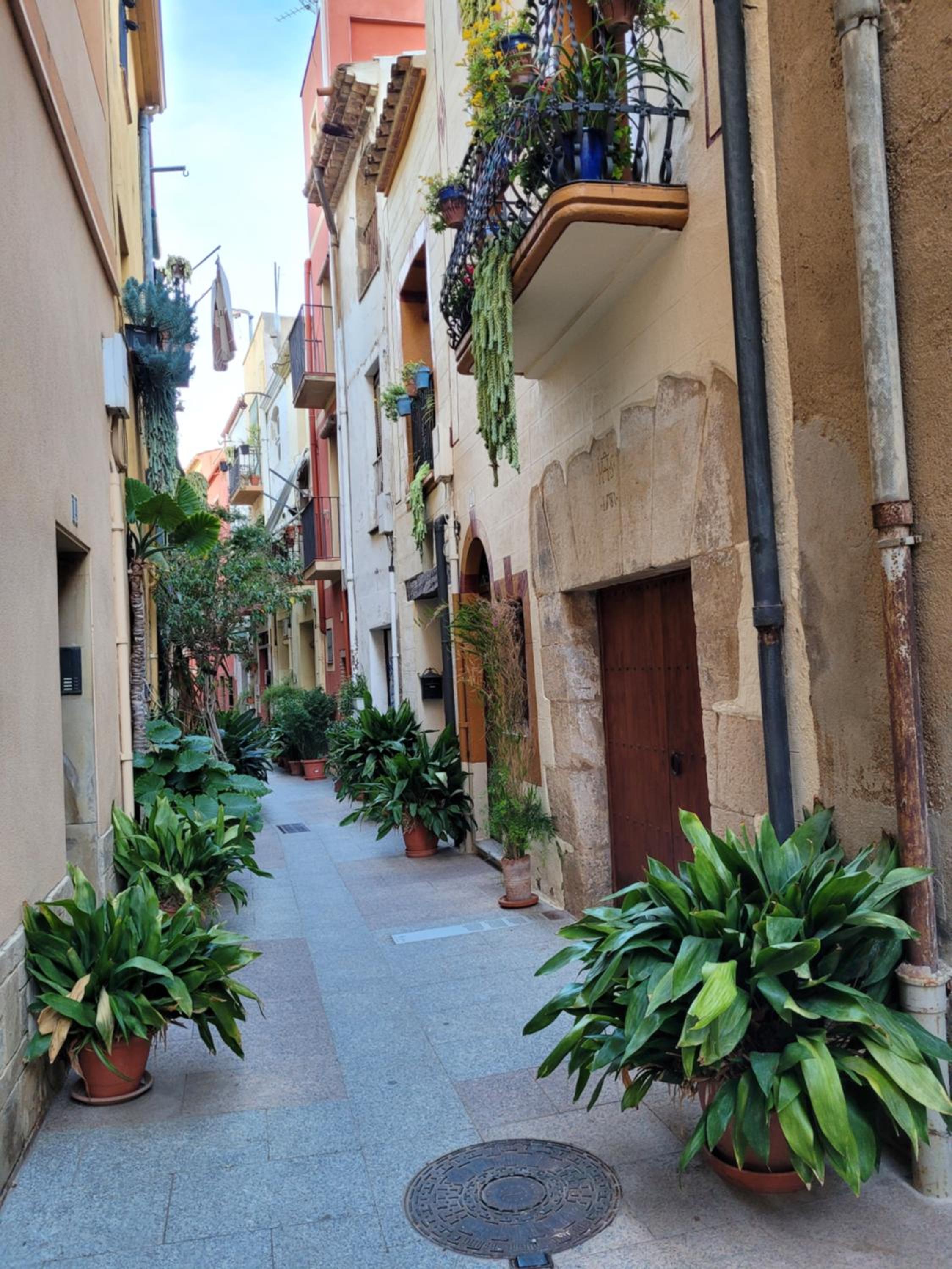 Cambrils Dulces Sueños
