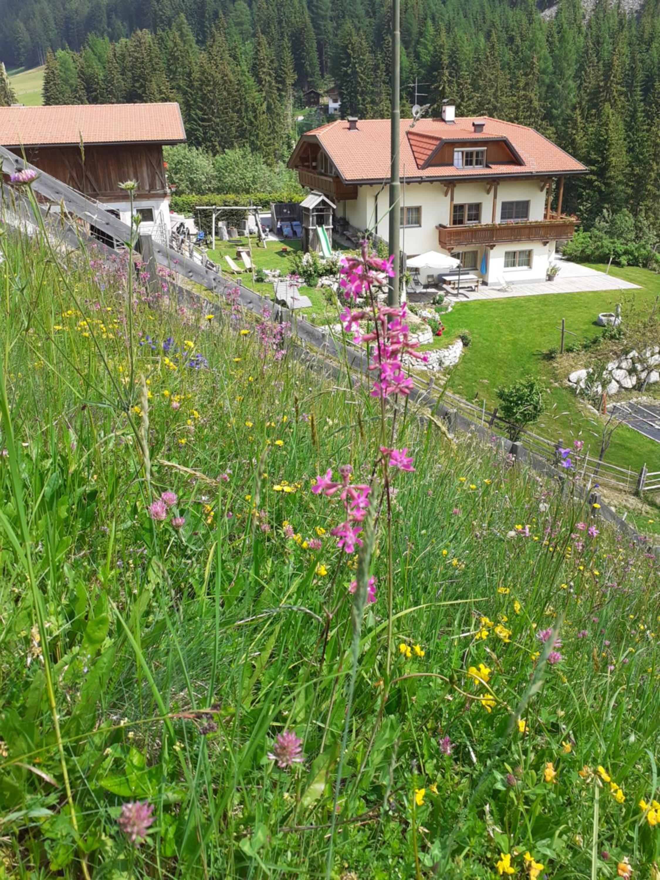 Photo 46