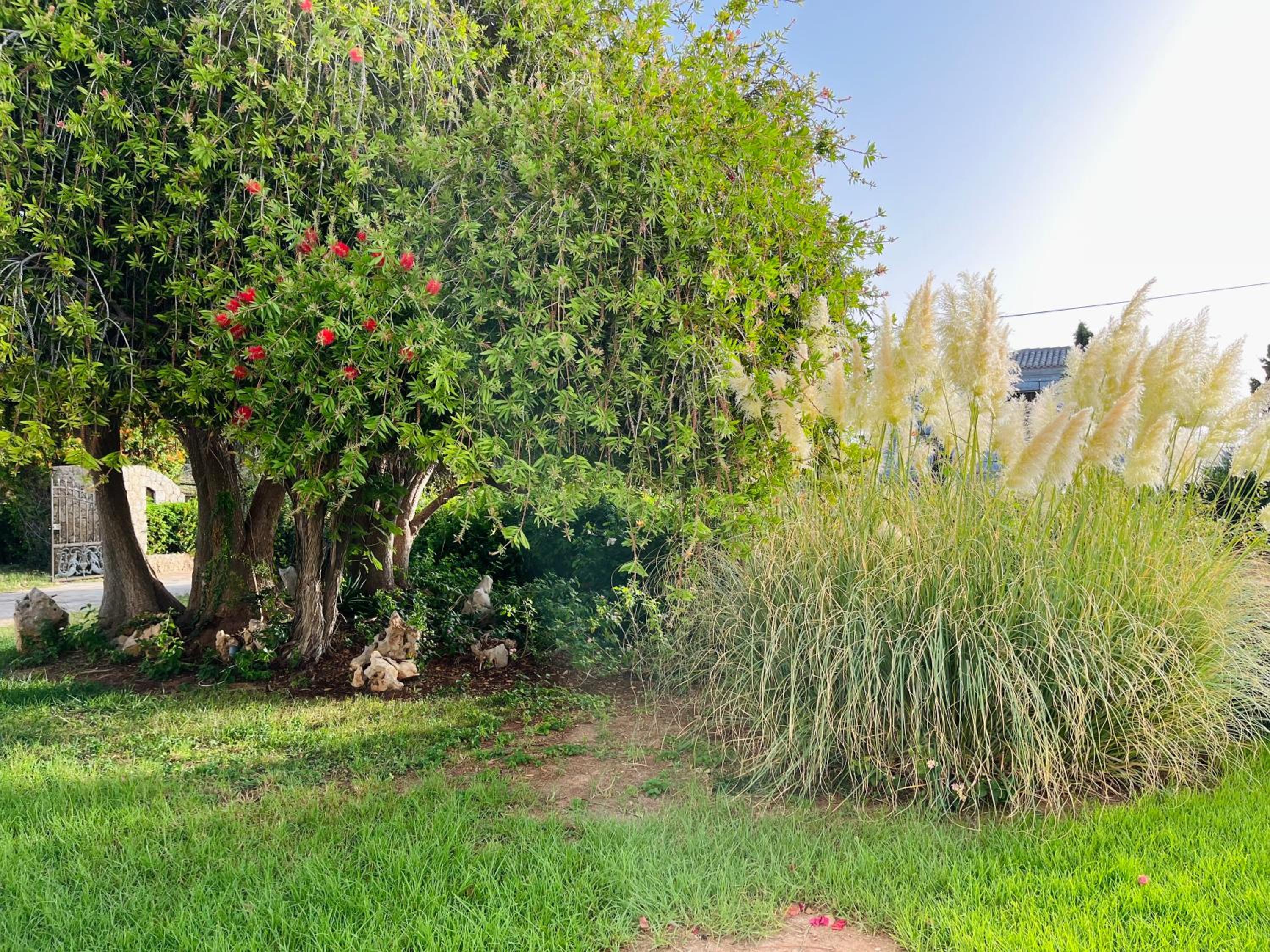 Villa Alexandros