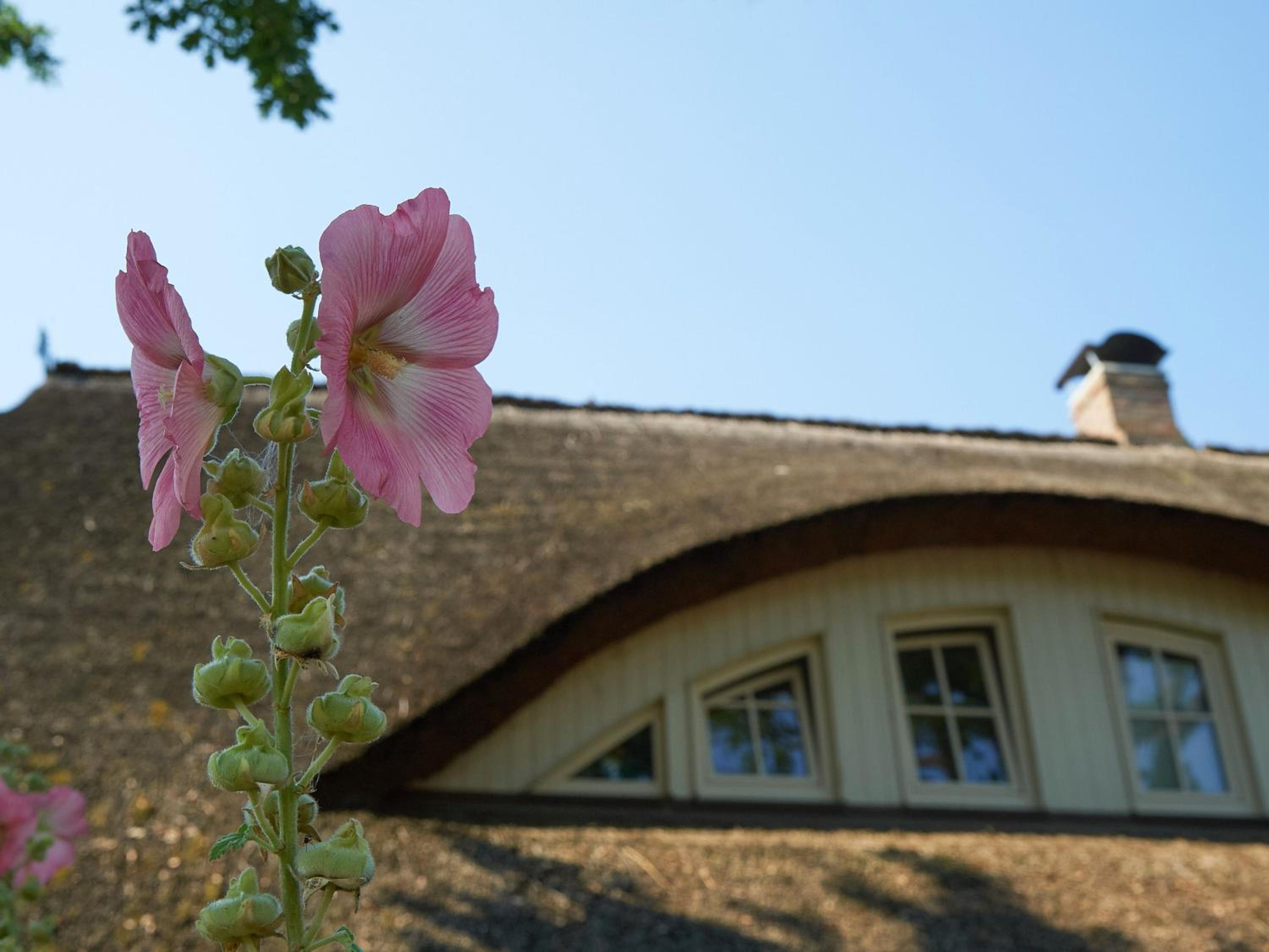 Kapitäns Hus - Haushälfte 1 