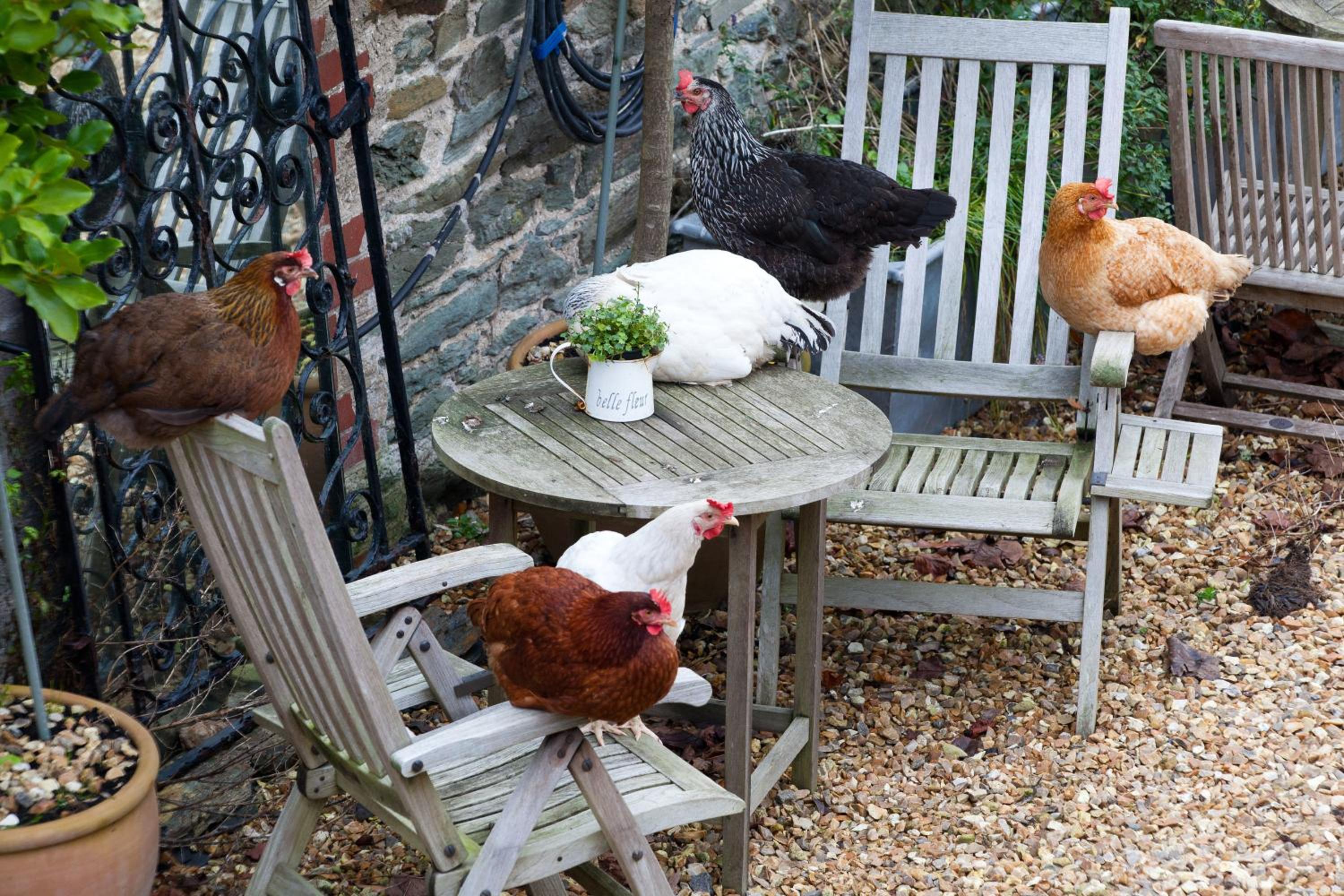 Glebe Farm B&B