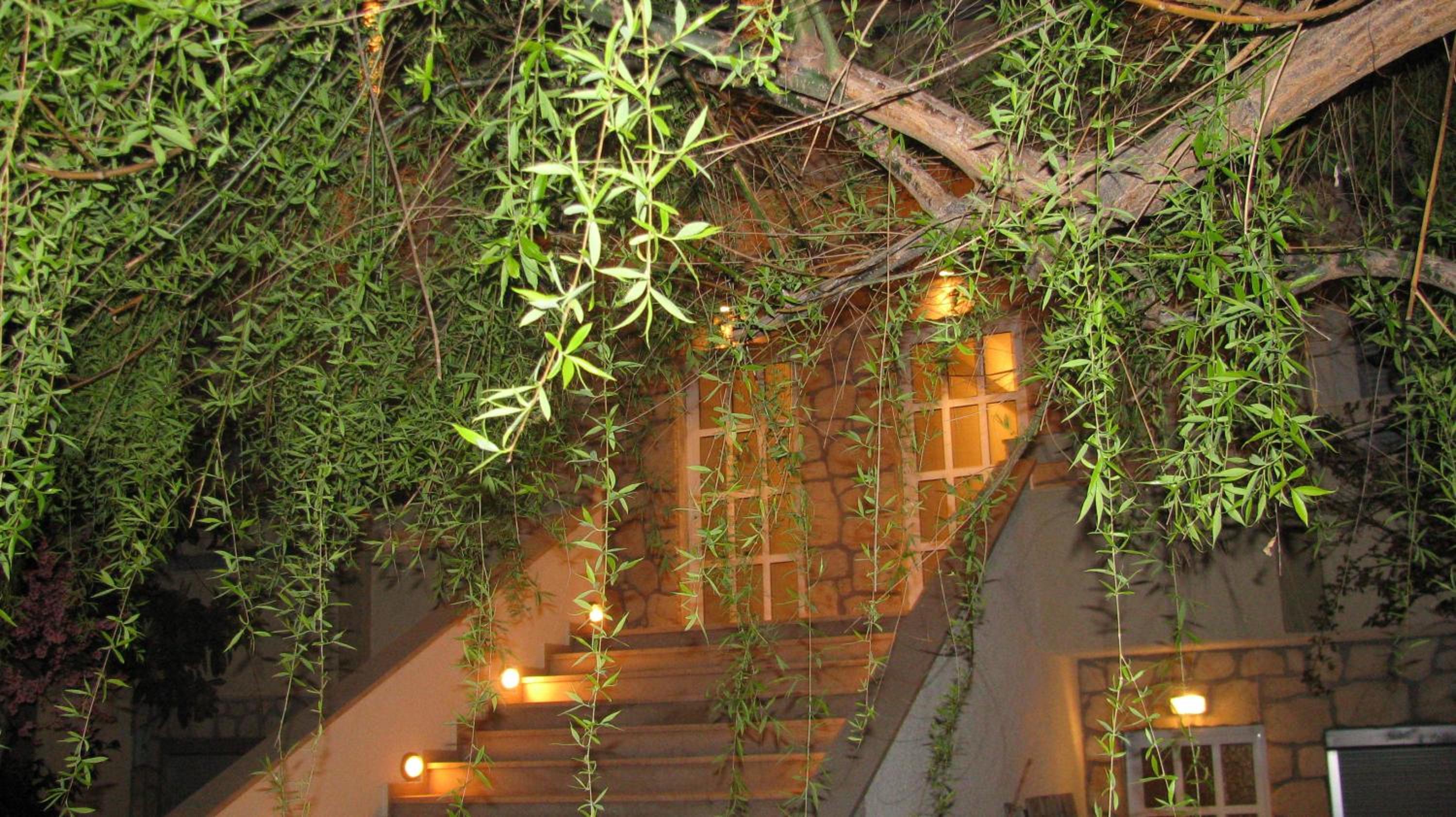 Villa Kokkinos view 5