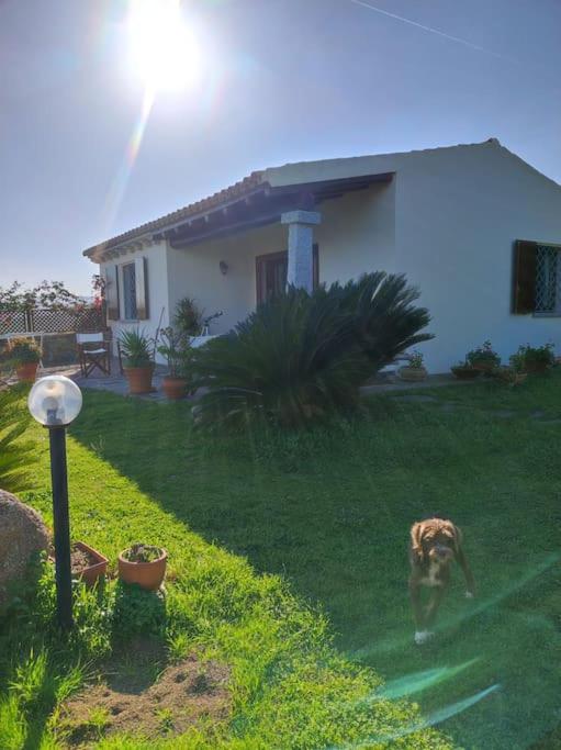 Belvedere Country House
