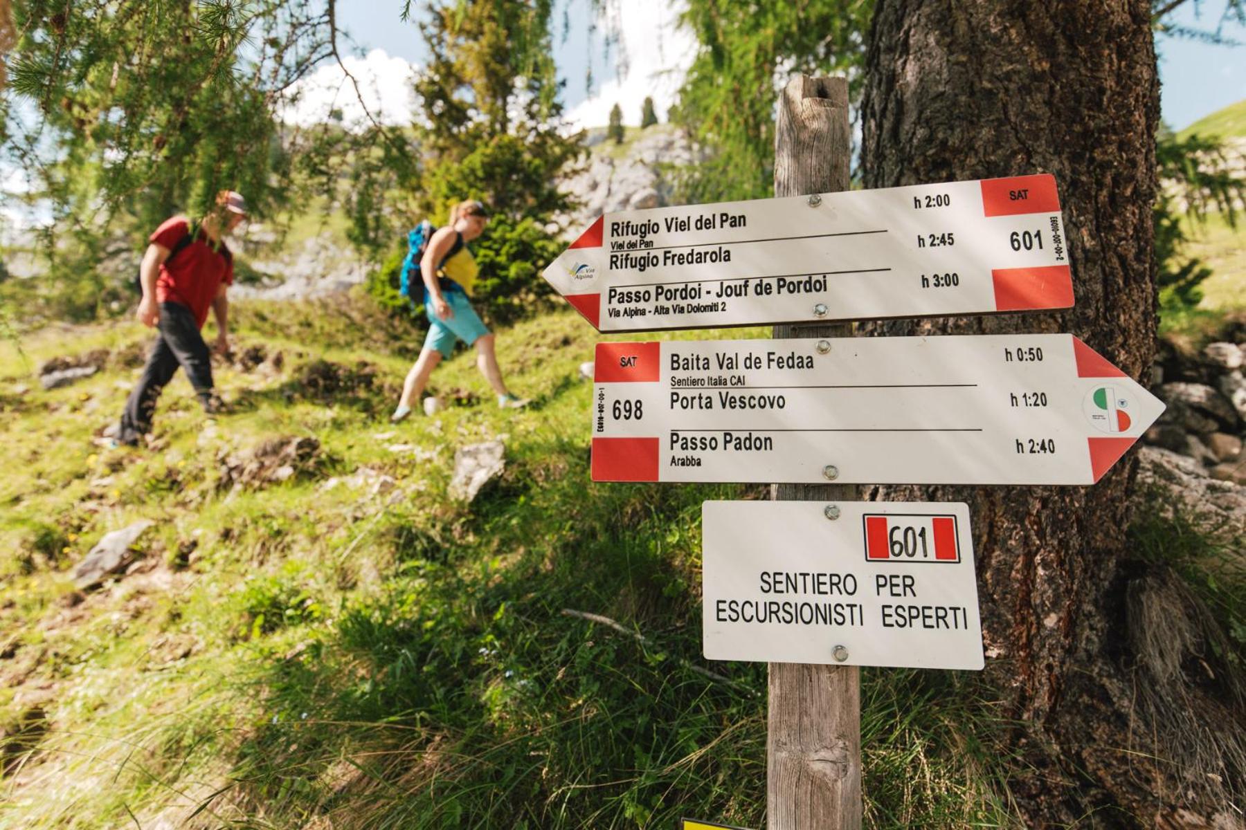 Camping Marmolada Malga Ciapela - Glamping Experience