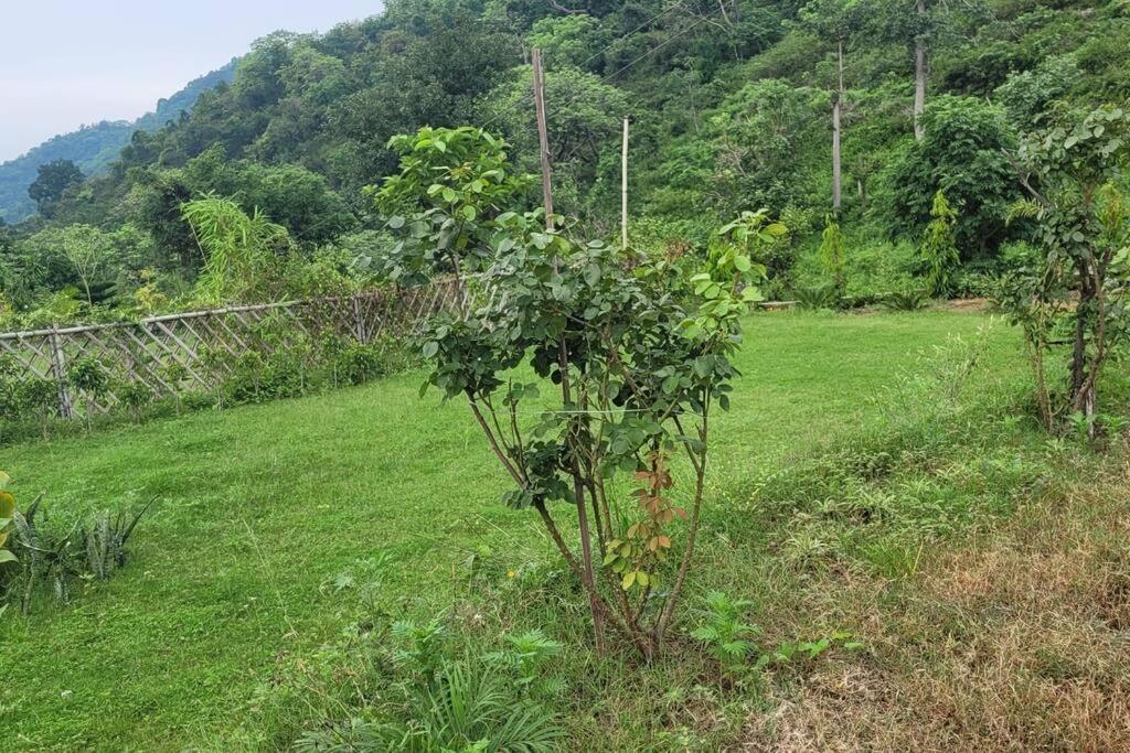 Photo 17