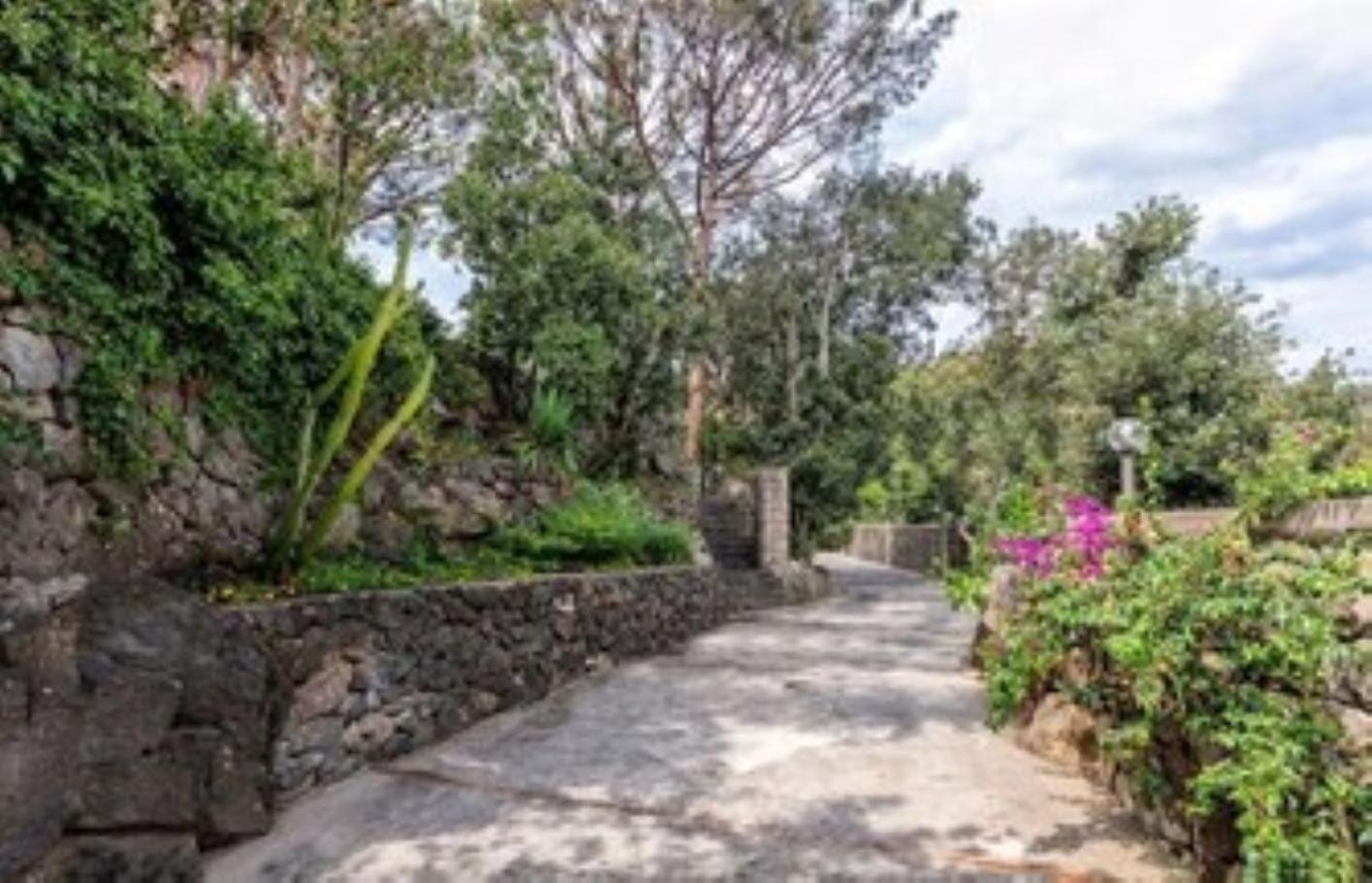 Ischia-Forio-Punta Caruso-La Grille du coq-villa 3 il prezzo della villa è riferito all'intero alloggio con il limite delle persone previste n 6 view 2