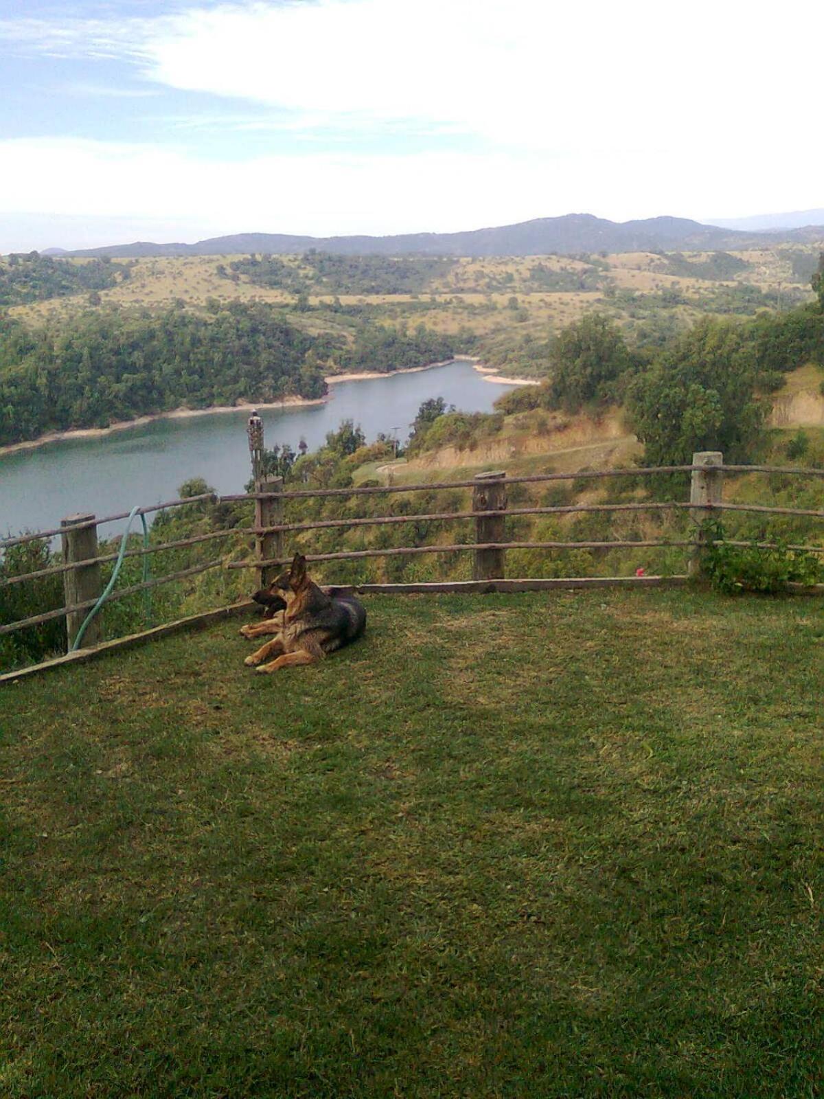 Cabañas Quillay Viejo