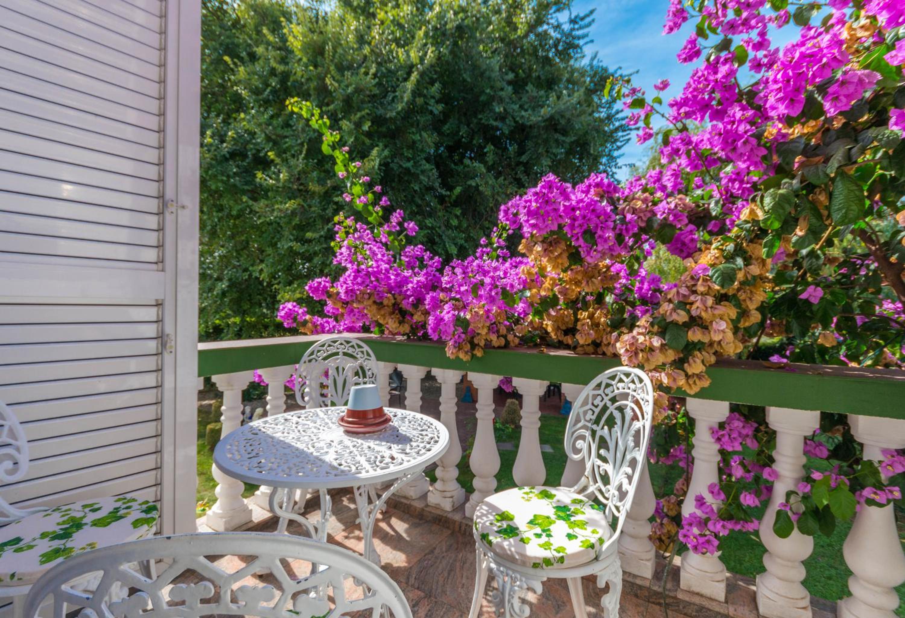 Villa Sikovo view 3