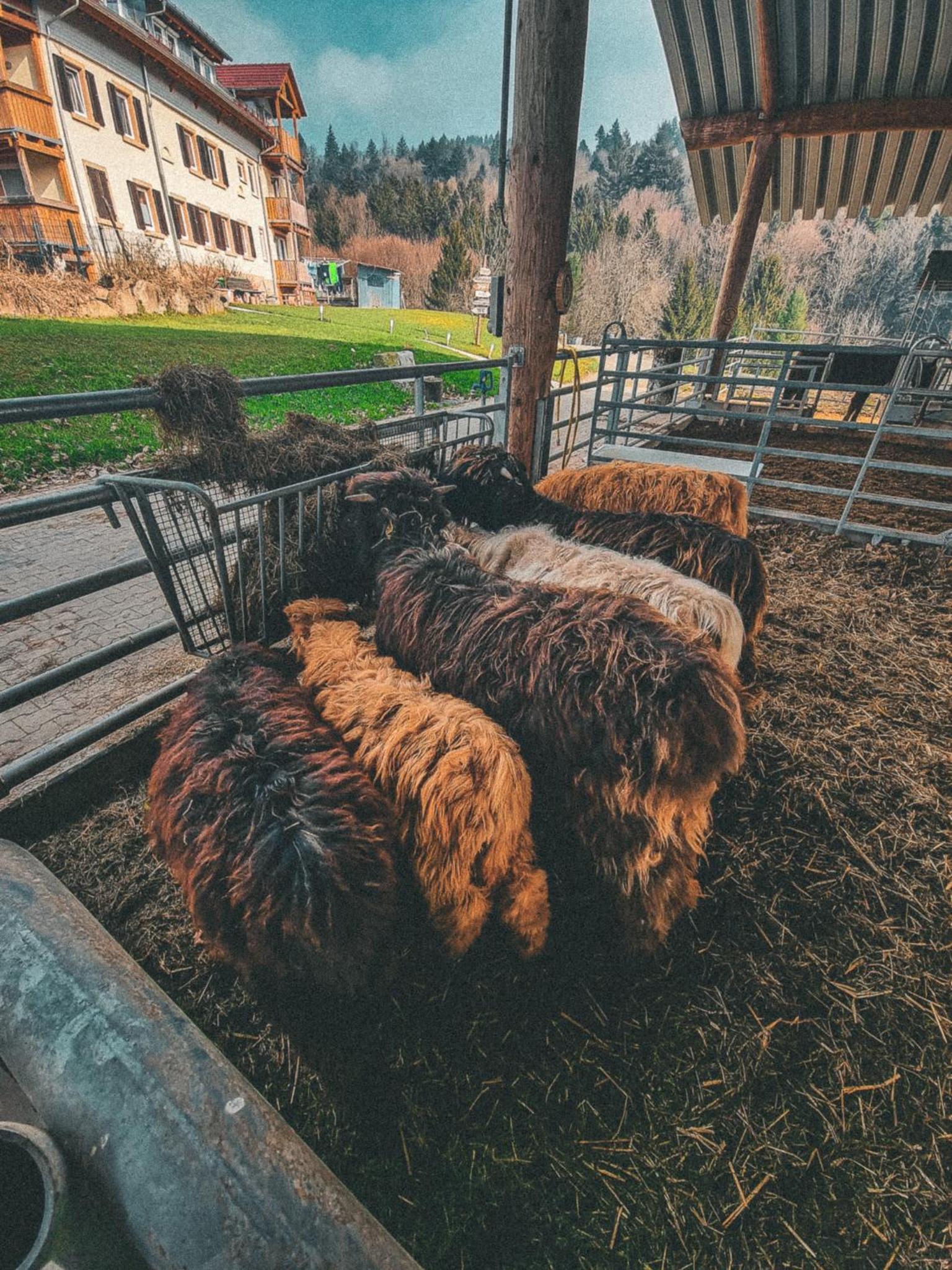 Ferienwohnung Heller