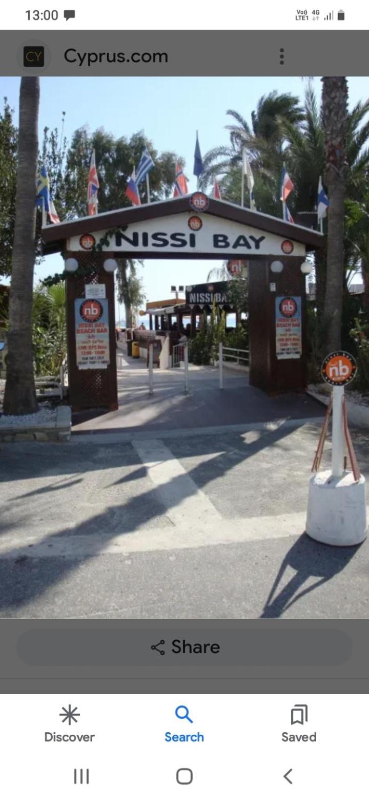 Luxury Cozy Apartment near NISSI BEACH
