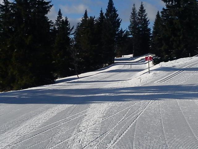 Apartma Rogla Gaber 110