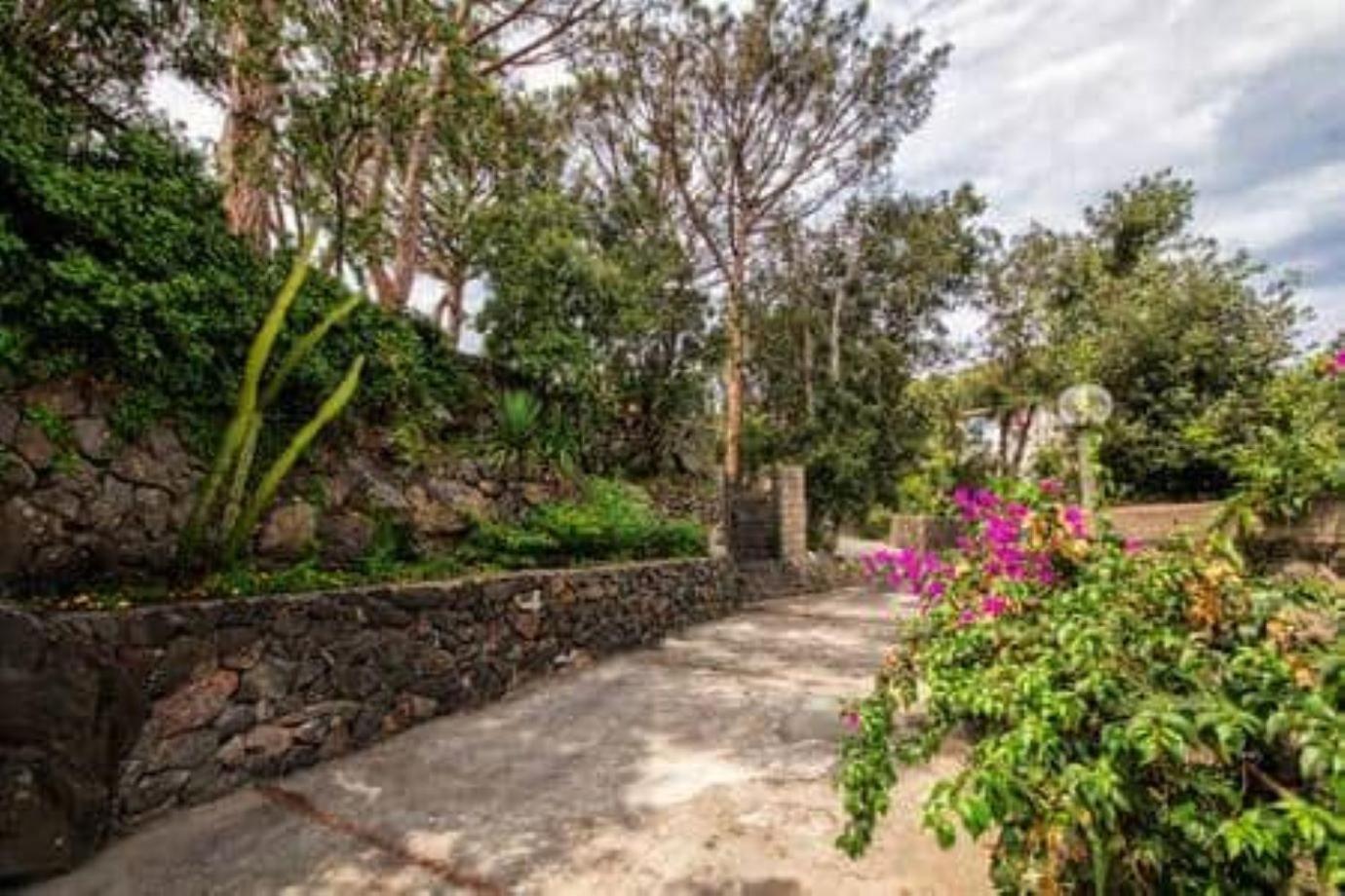 Ischia-Forio-Punta Caruso-La Grille du coq-villa 3 il prezzo della villa è riferito all'intero alloggio con il limite delle persone previste n 6 view 3