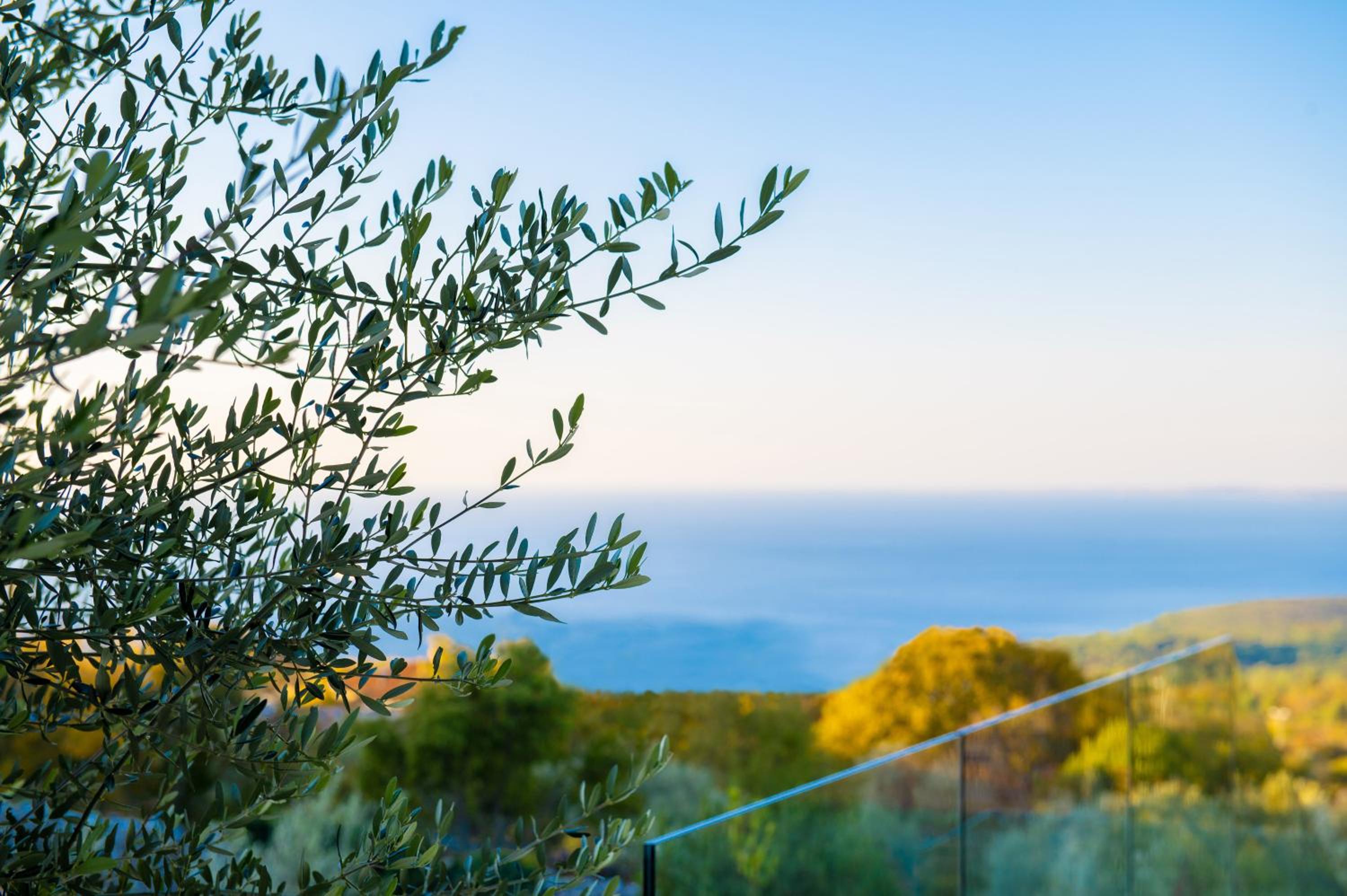 Luxury residence Villa Istria