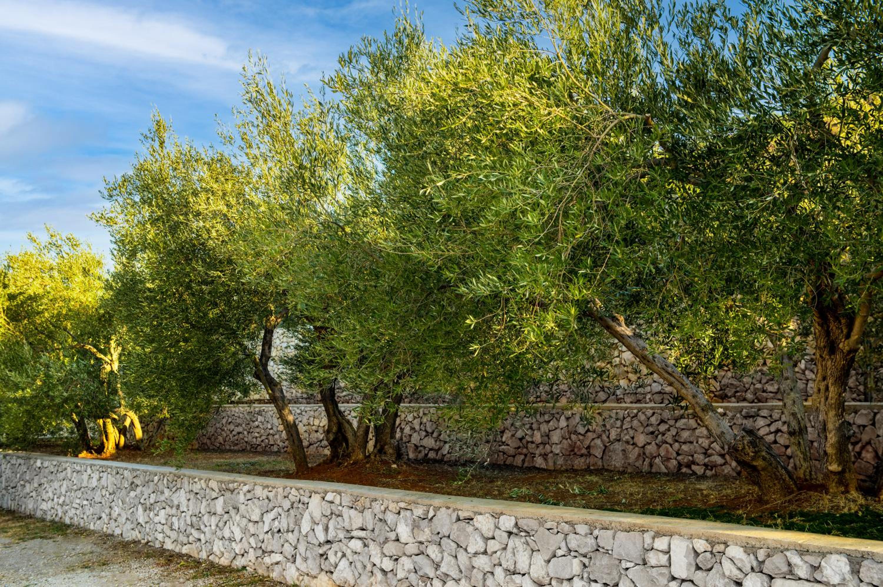 Luxury residence Villa Istria