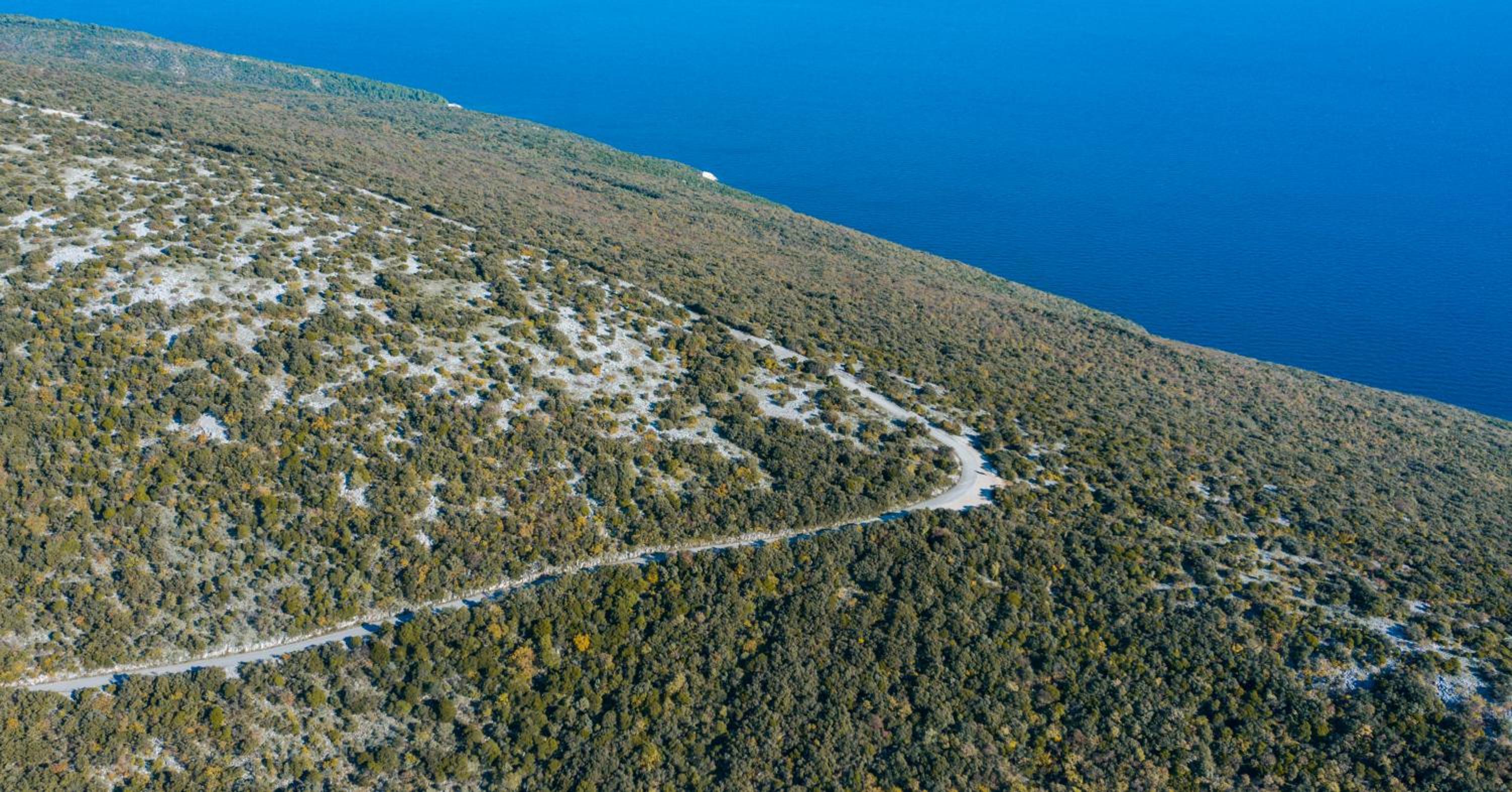 Luxury residence Villa Istria
