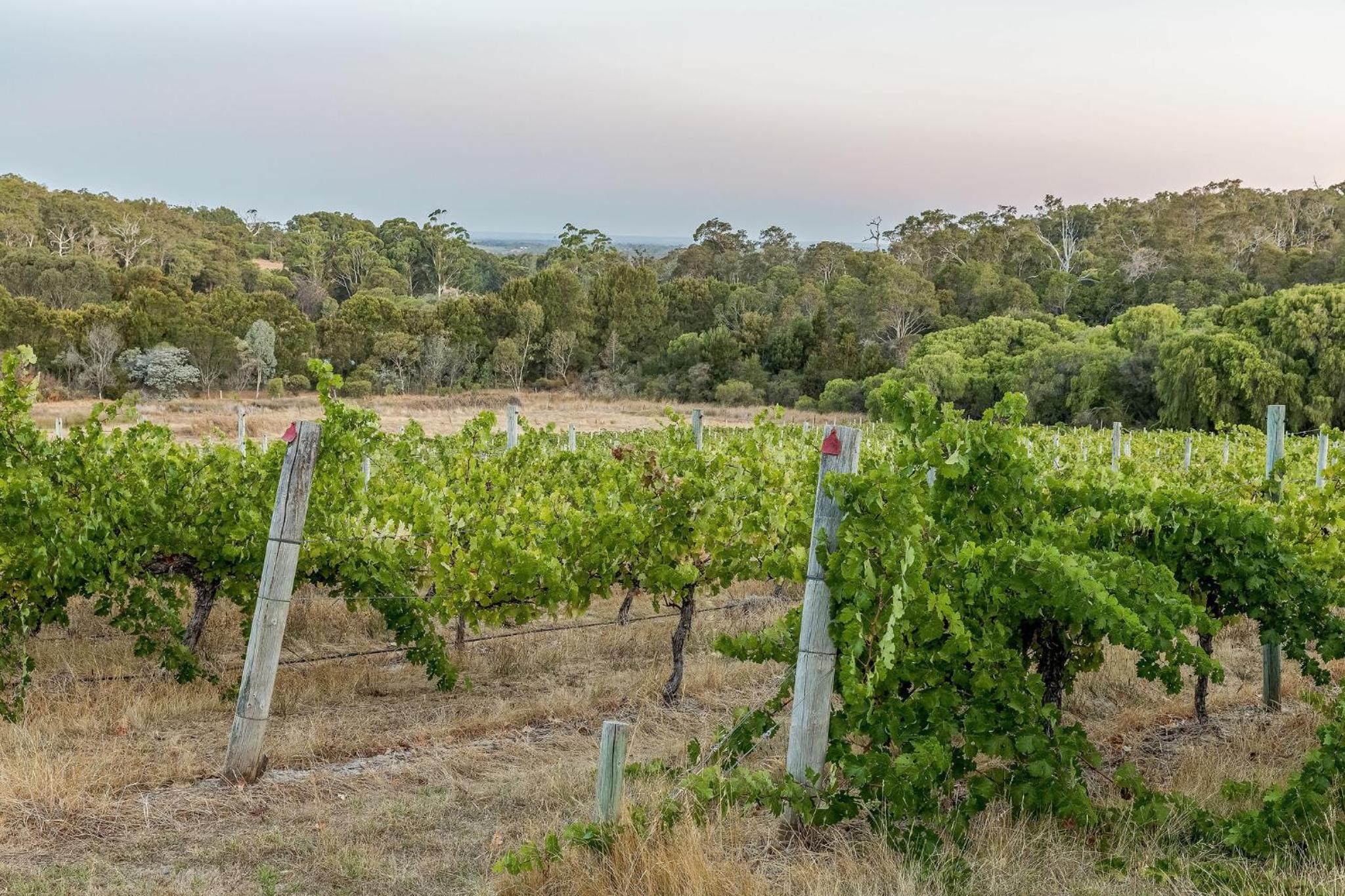 Villa 16 @ Rivendell Winery Estate - Yallingup