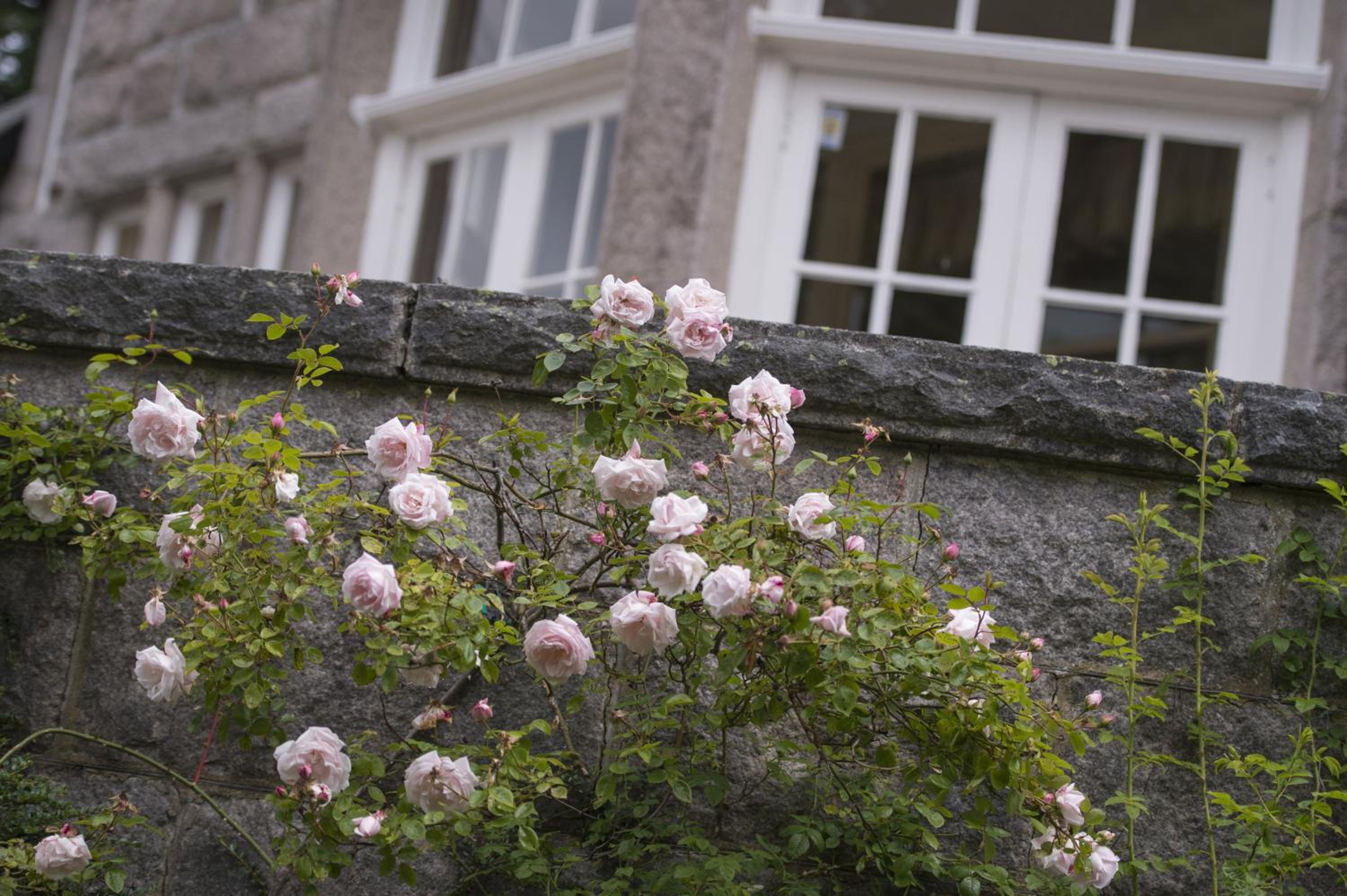 Lys-Na-Greyne Country House