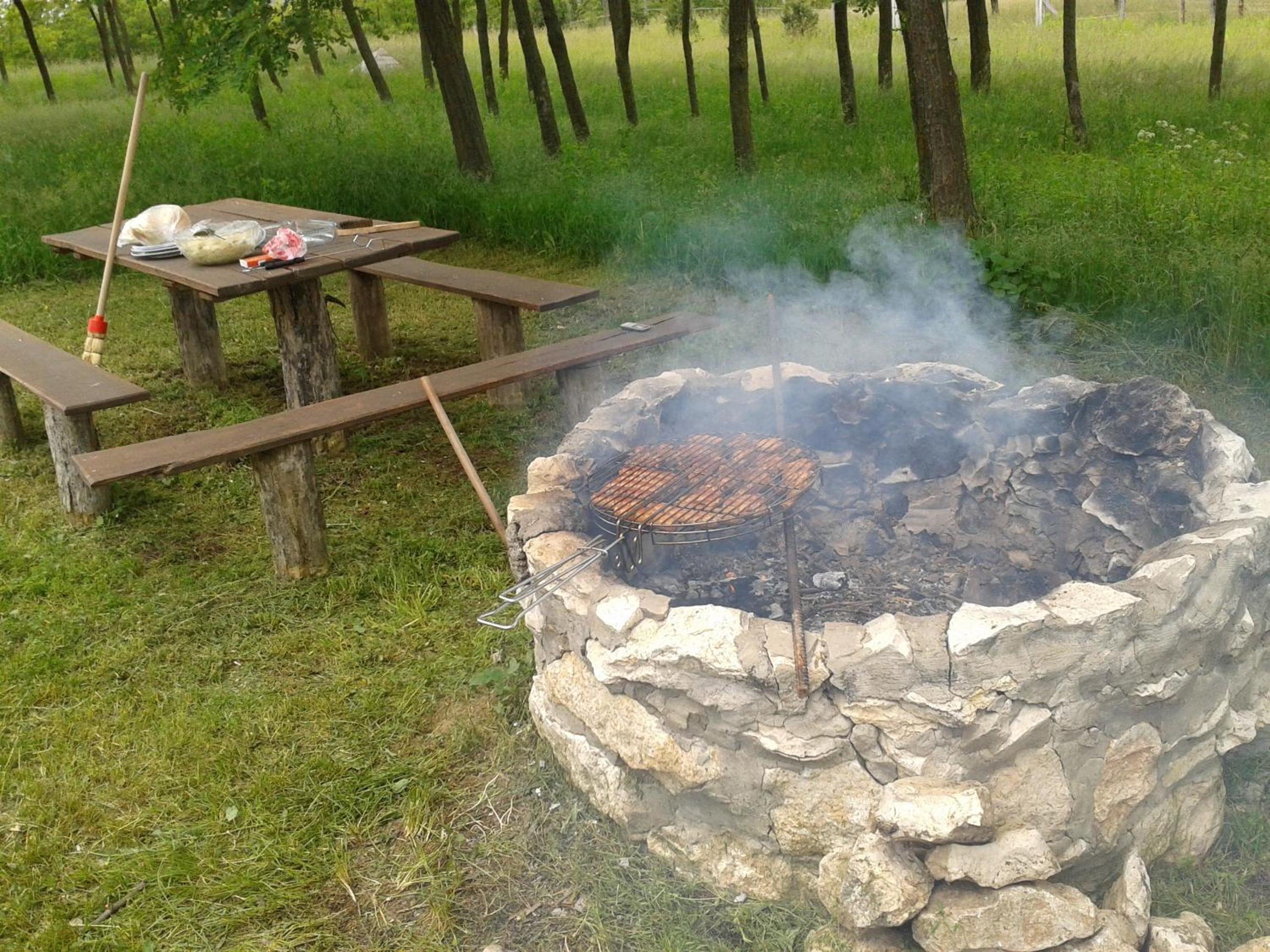 Photo 46