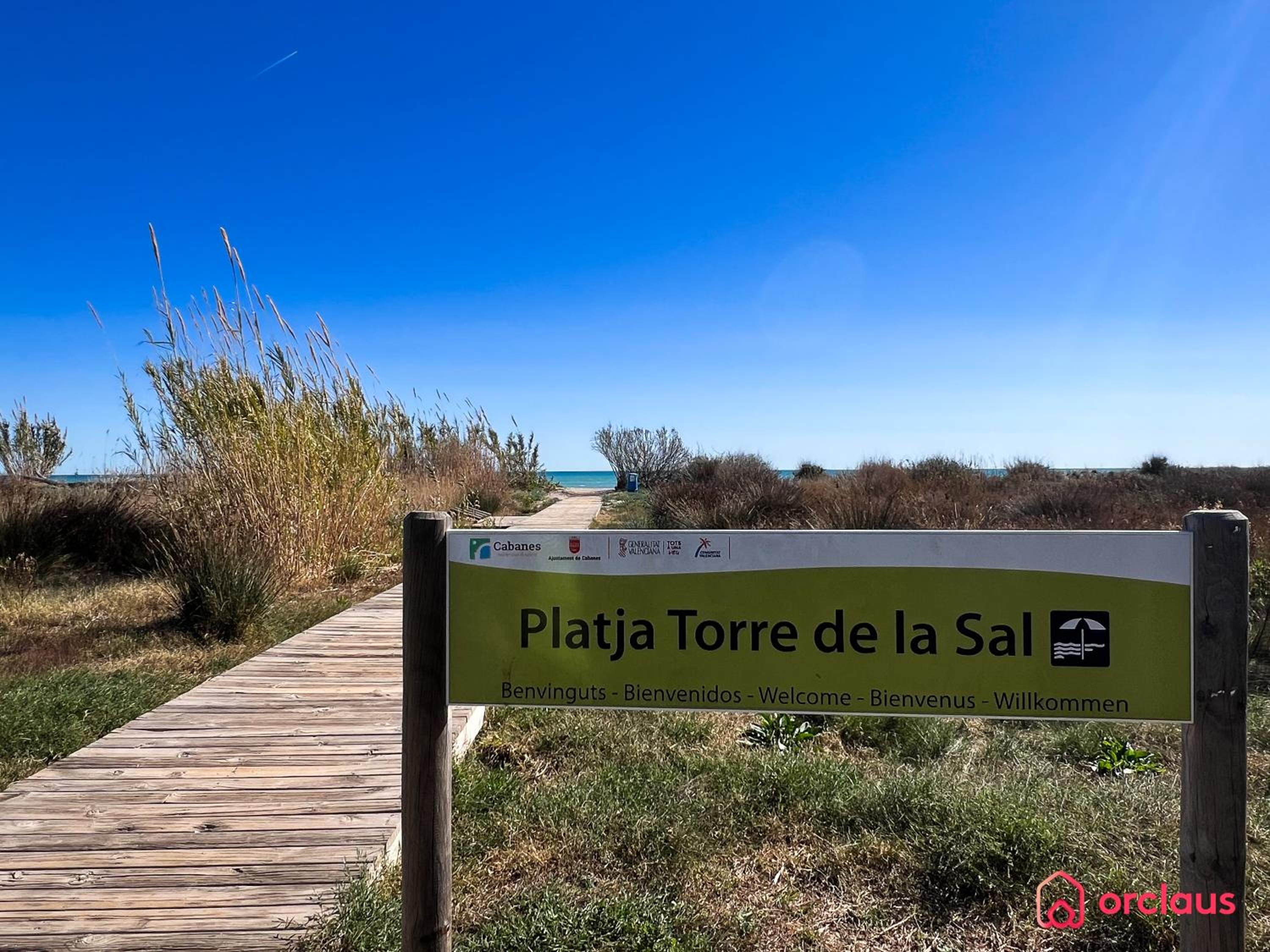 El Mirador
