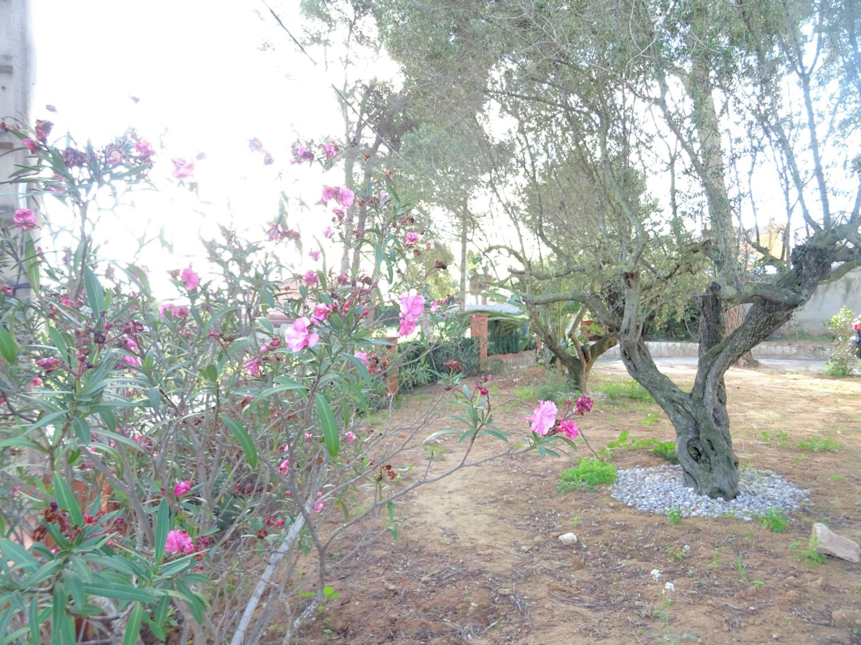 Casa Oliva