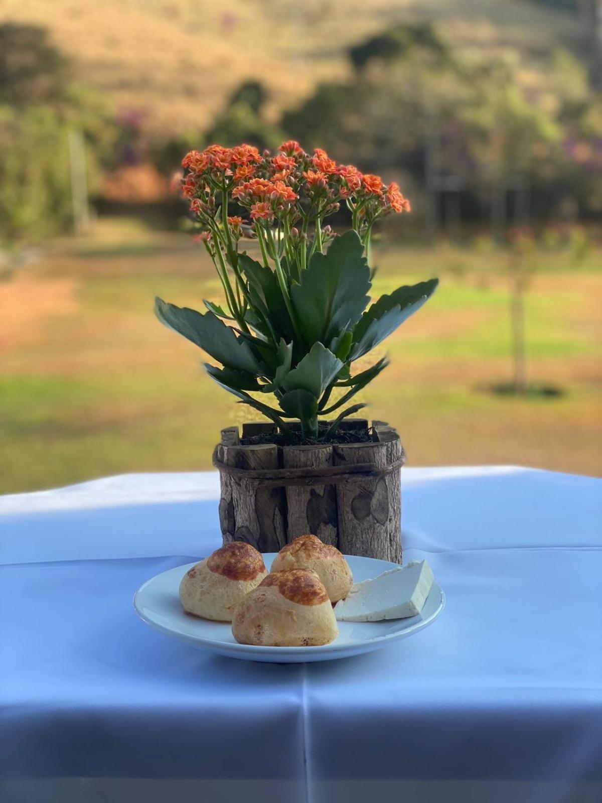 Paraíso Capitólio 
